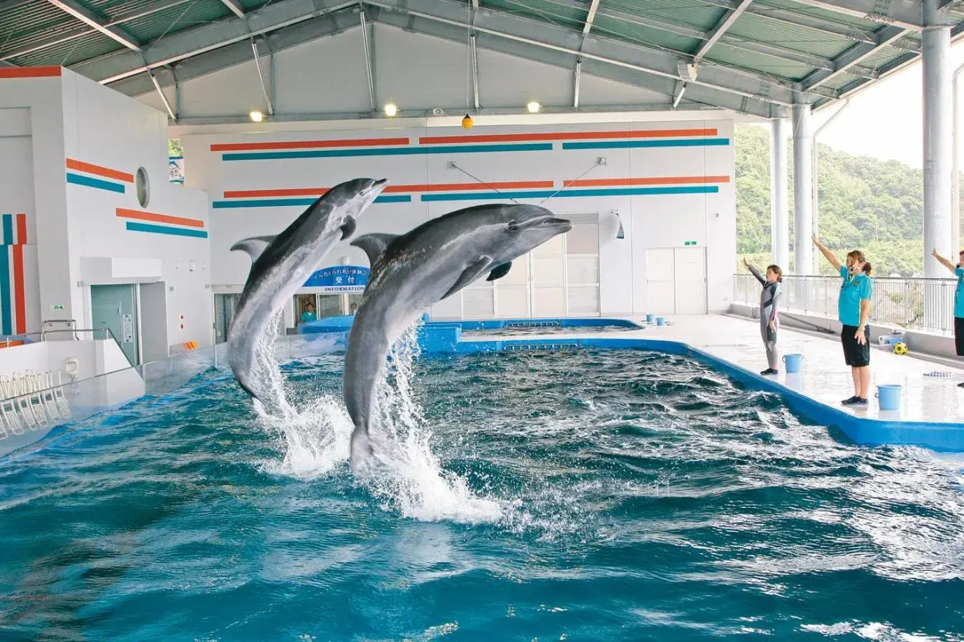 Property building in Shibushiwan Daikoku Resort Hotel Property building in Shibushiwan Daikoku Resort Hotel