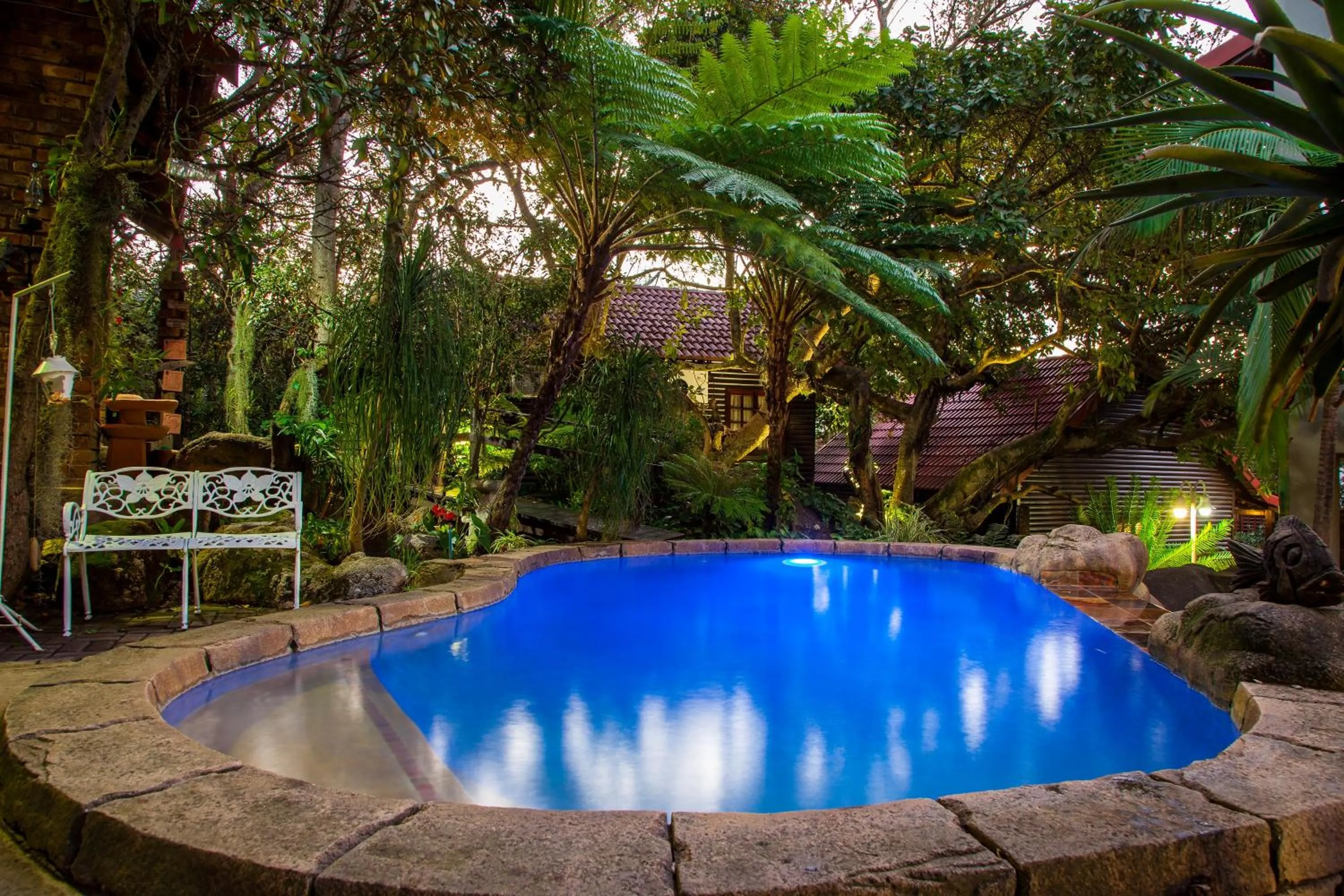 Swimming pool in Beetleloop Guest House