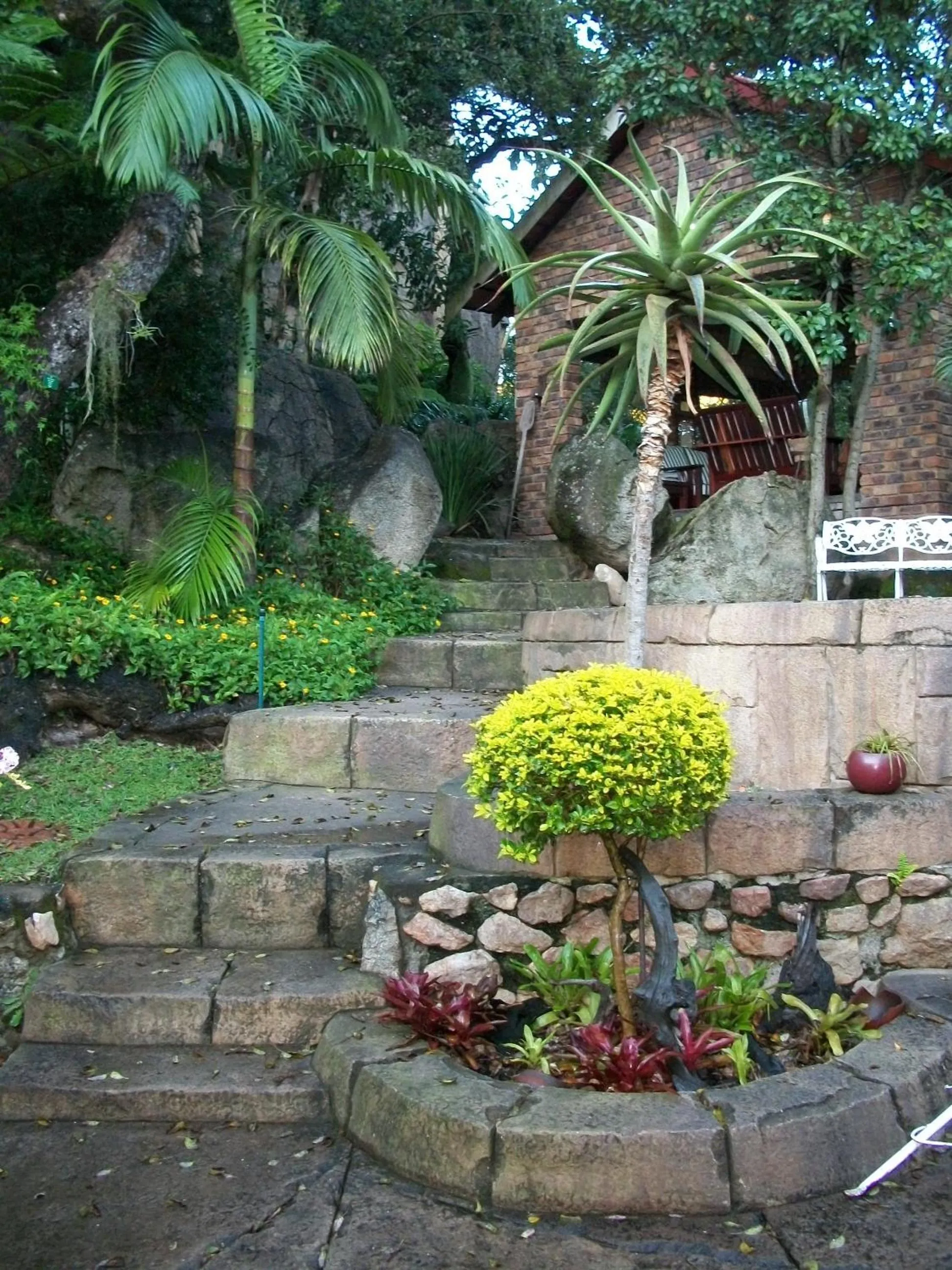 Spring in Beetleloop Guest House