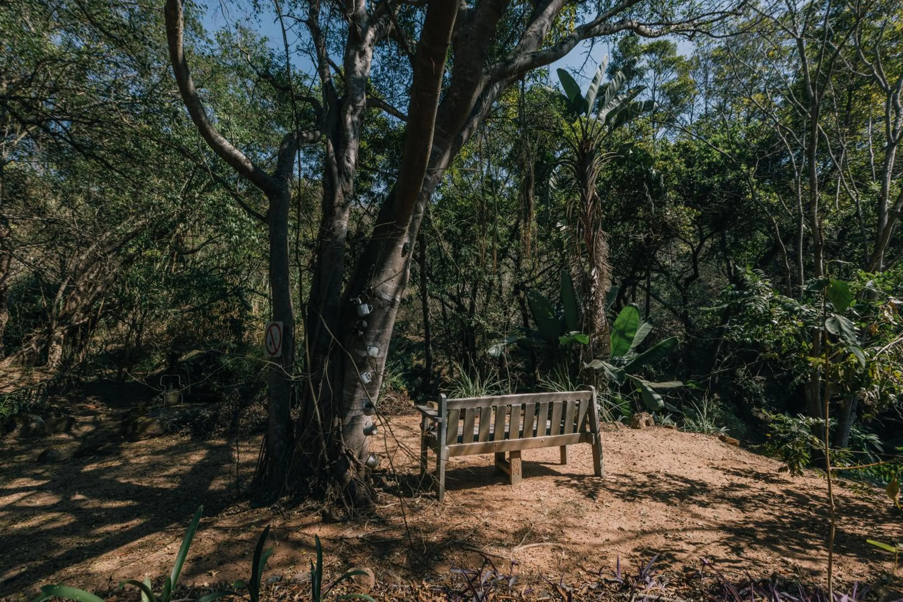 Garden in Beetleloop Guest House