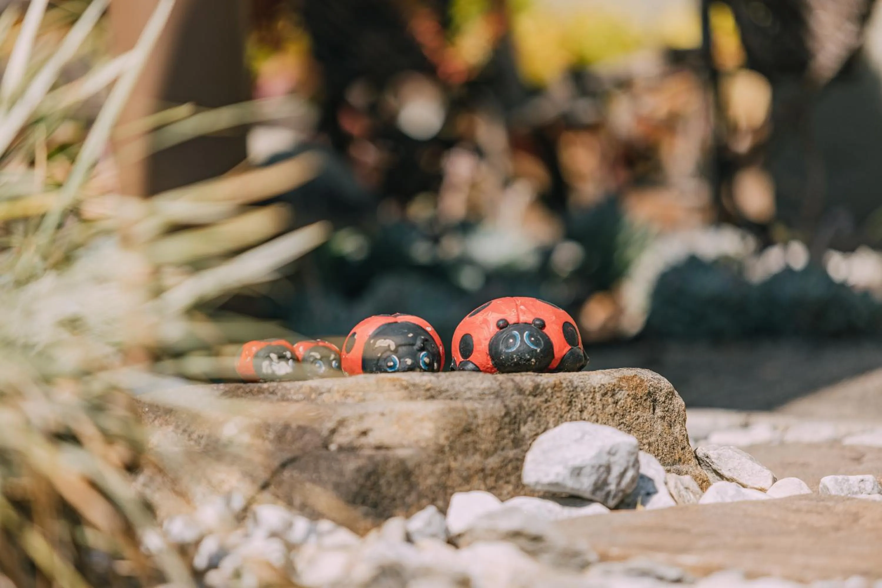 Garden in Beetleloop Guest House