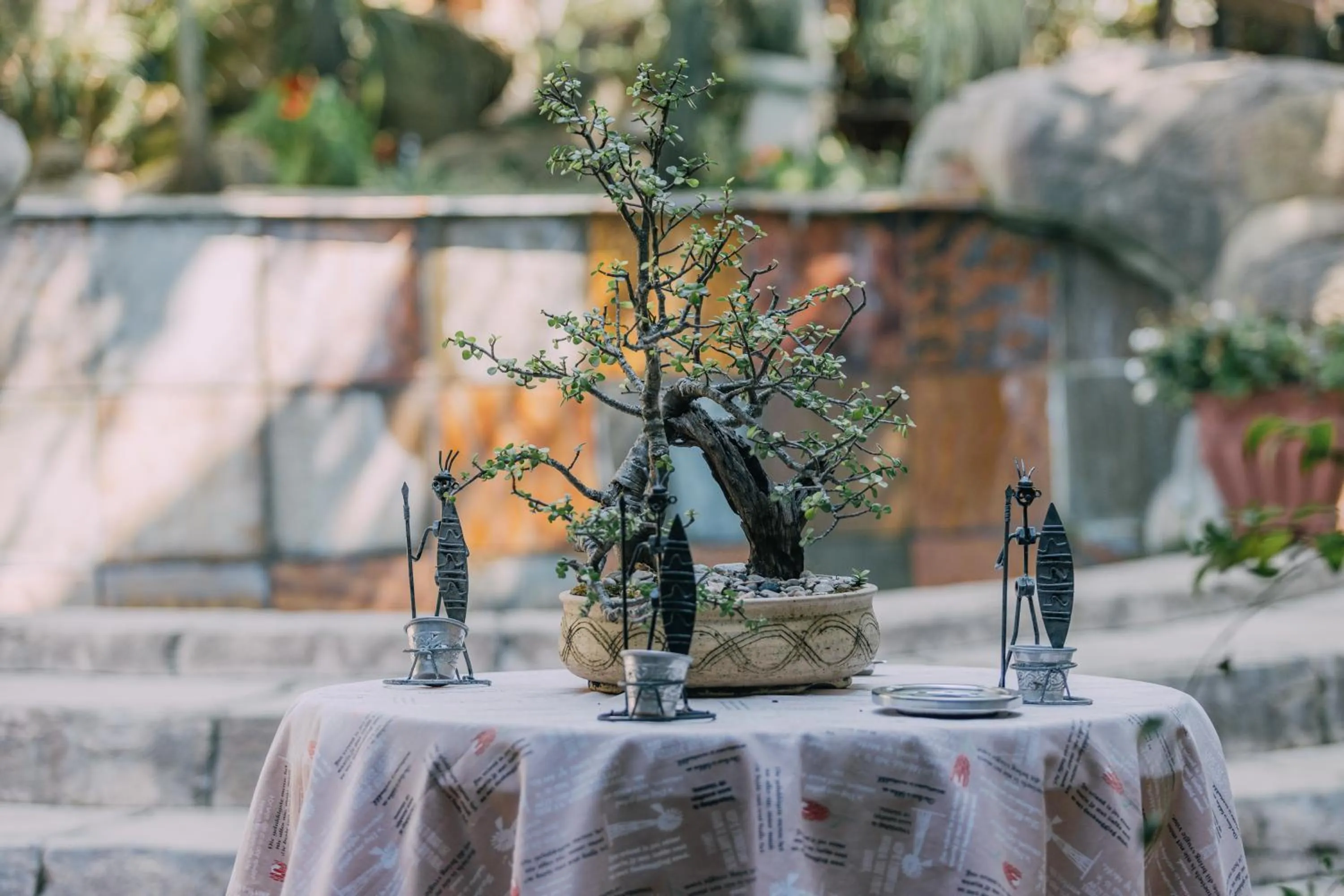 Garden in Beetleloop Guest House