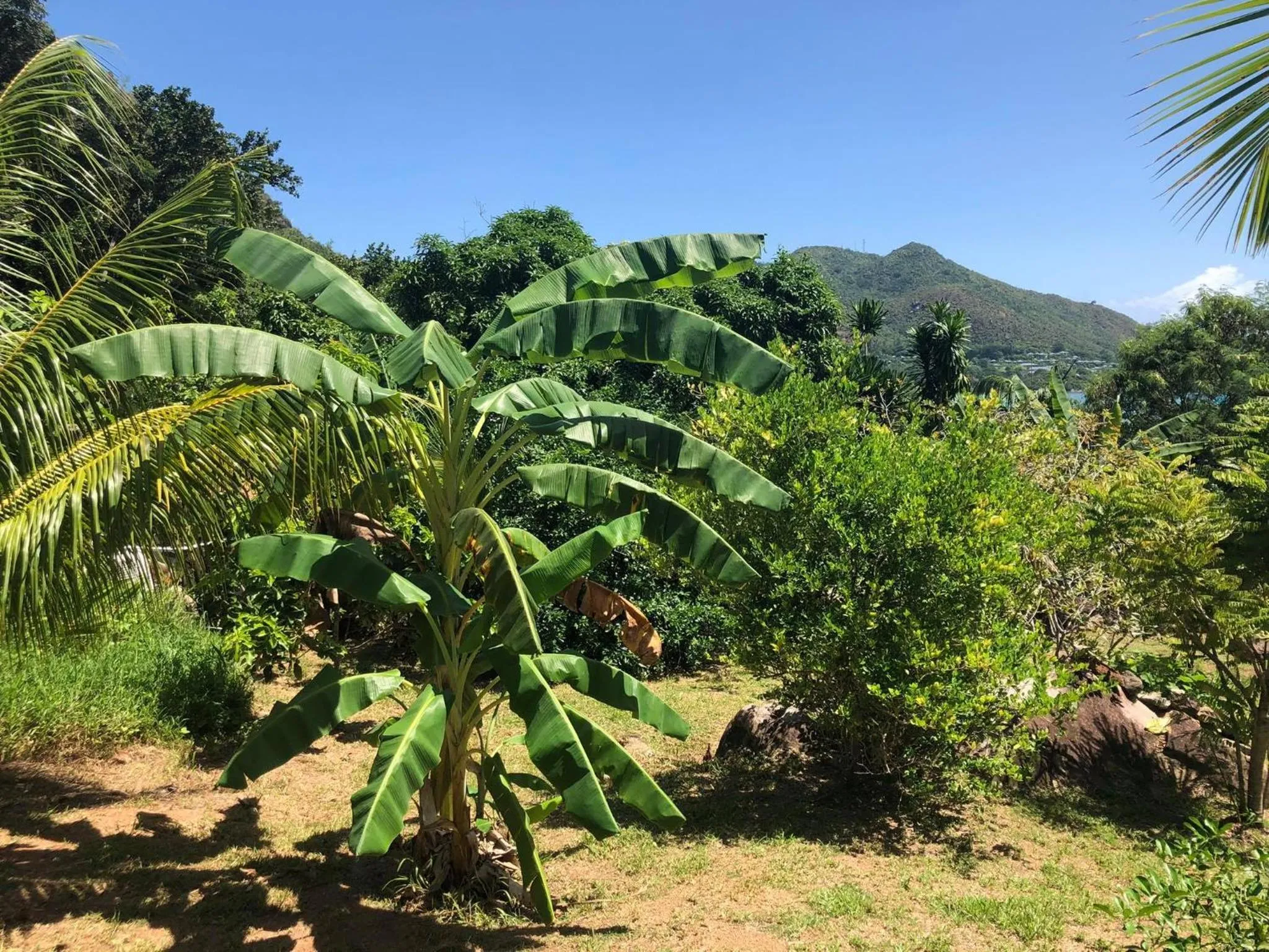 Natural landscape in Mirella Villa Island Princess Villa