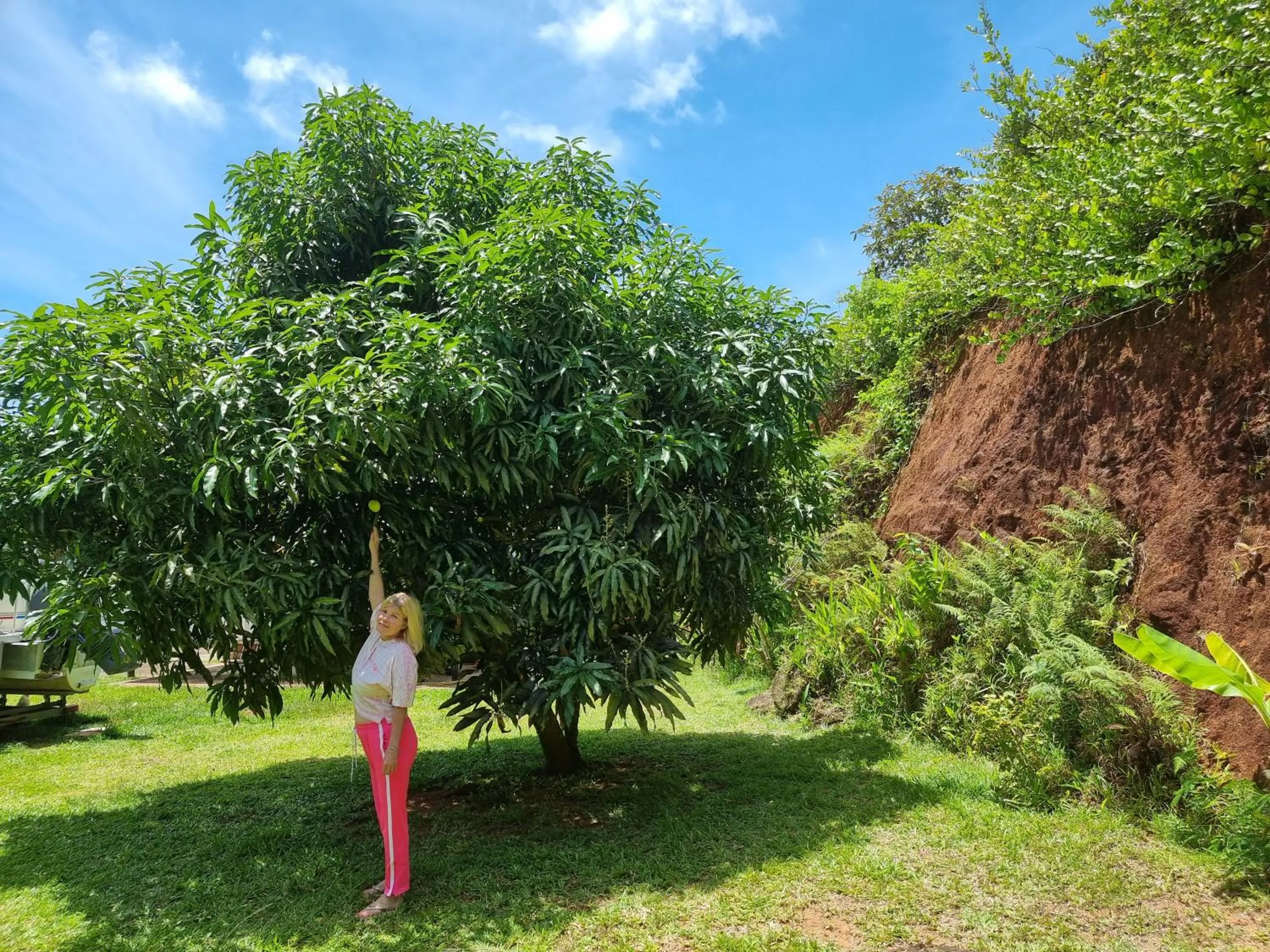 Garden in Mirella Villa Island Princess Villa