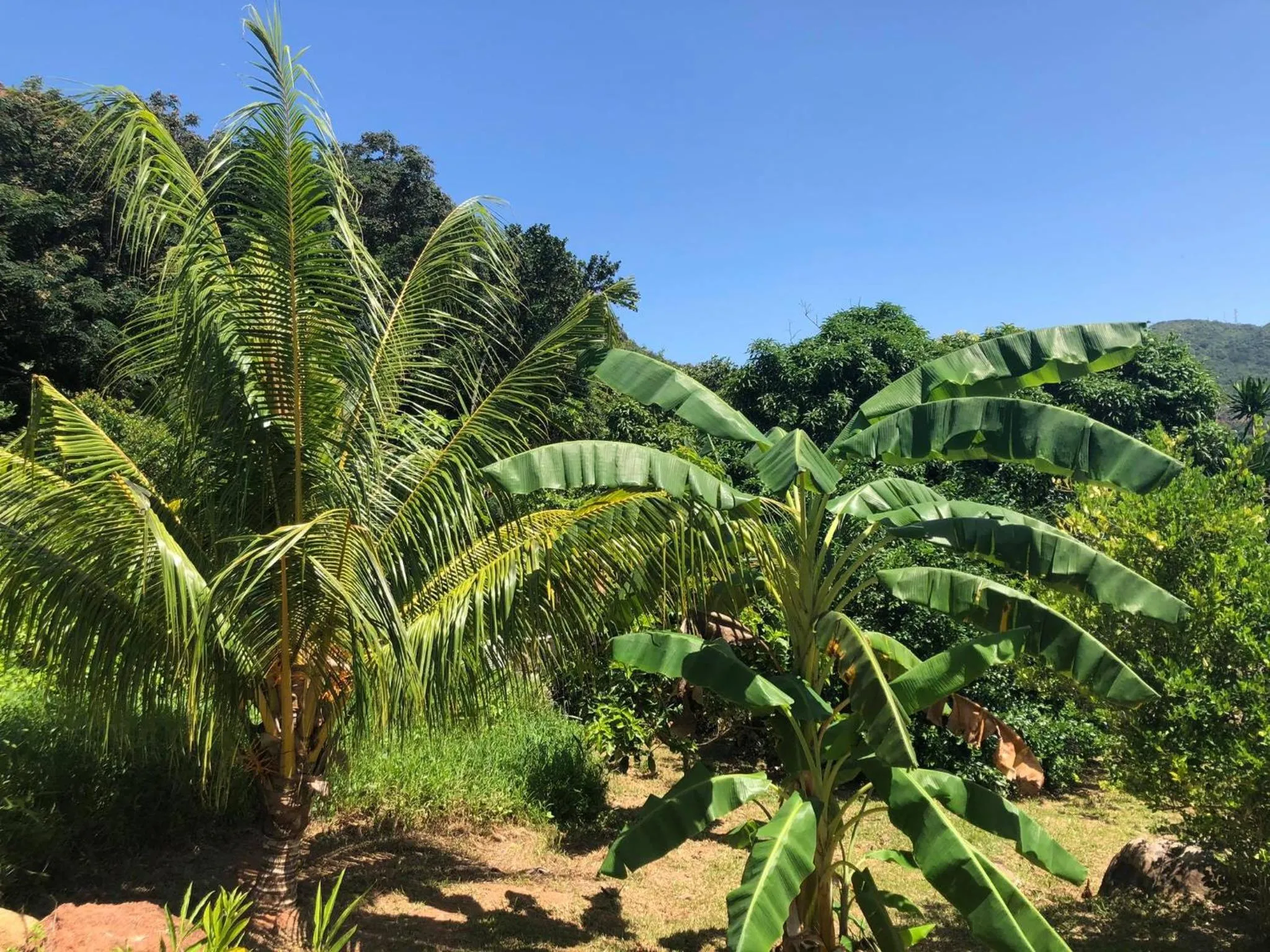 Natural landscape in Mirella Villa Island Princess Villa