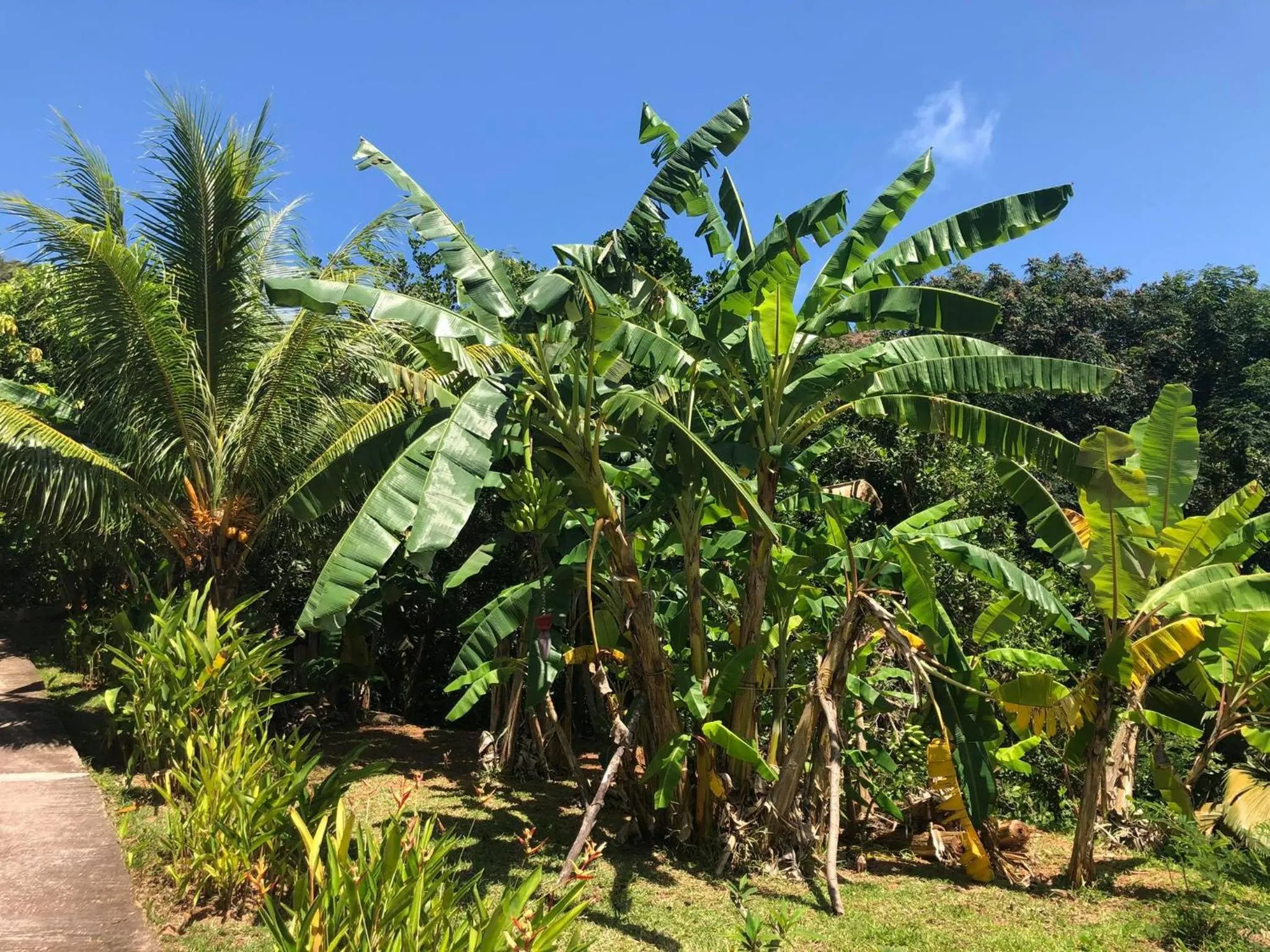 Natural landscape in Mirella Villa Island Princess Villa