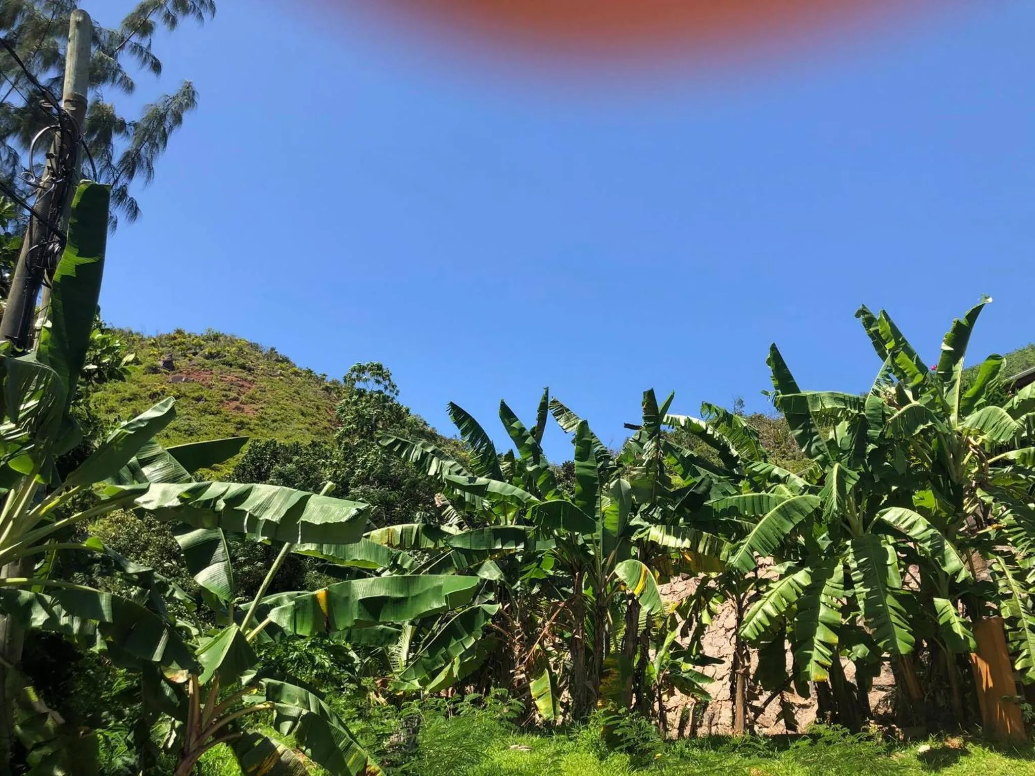 Natural landscape in Mirella Villa Island Princess Villa