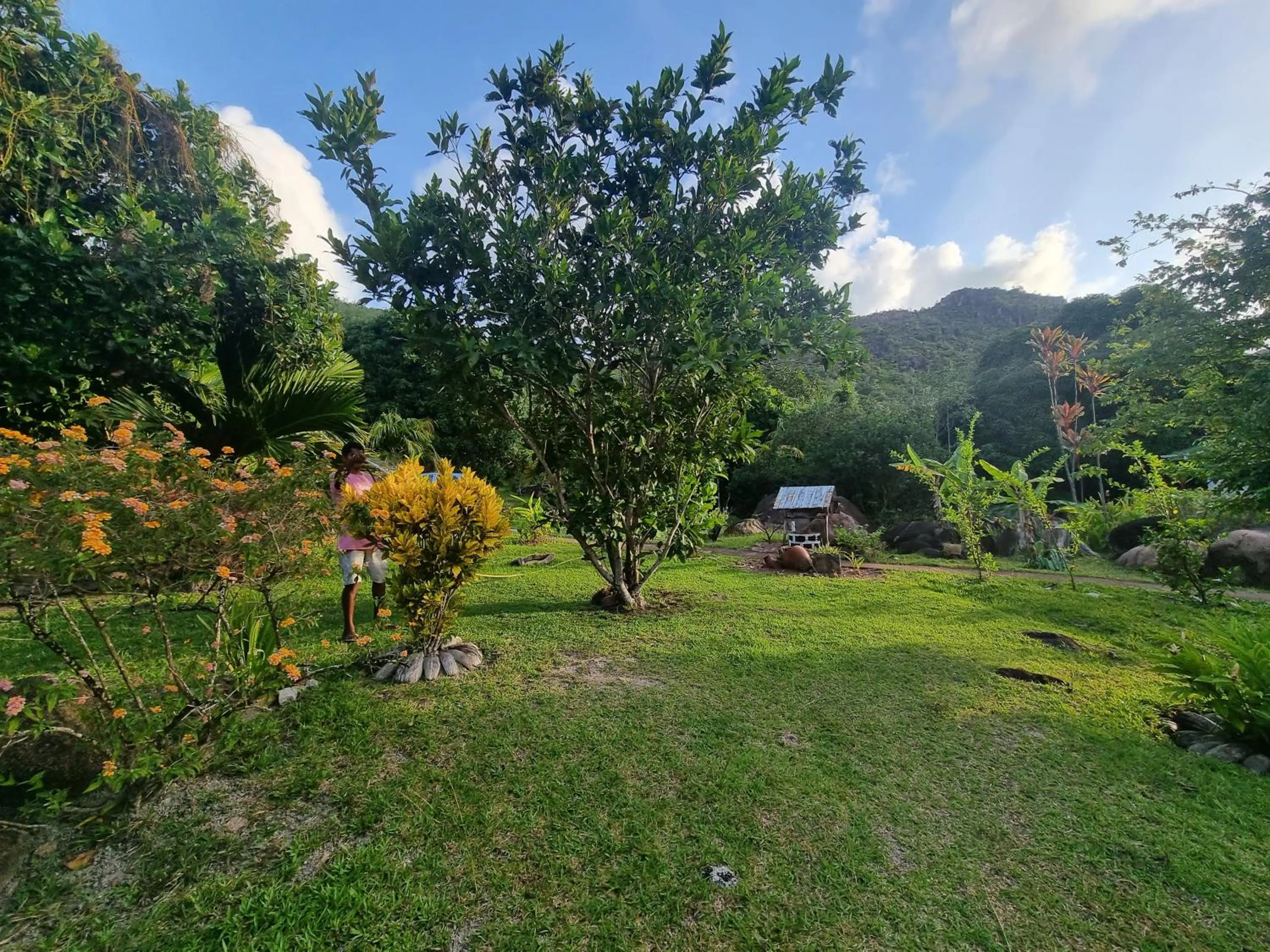 Natural landscape in Mirella Villa Island Princess Villa