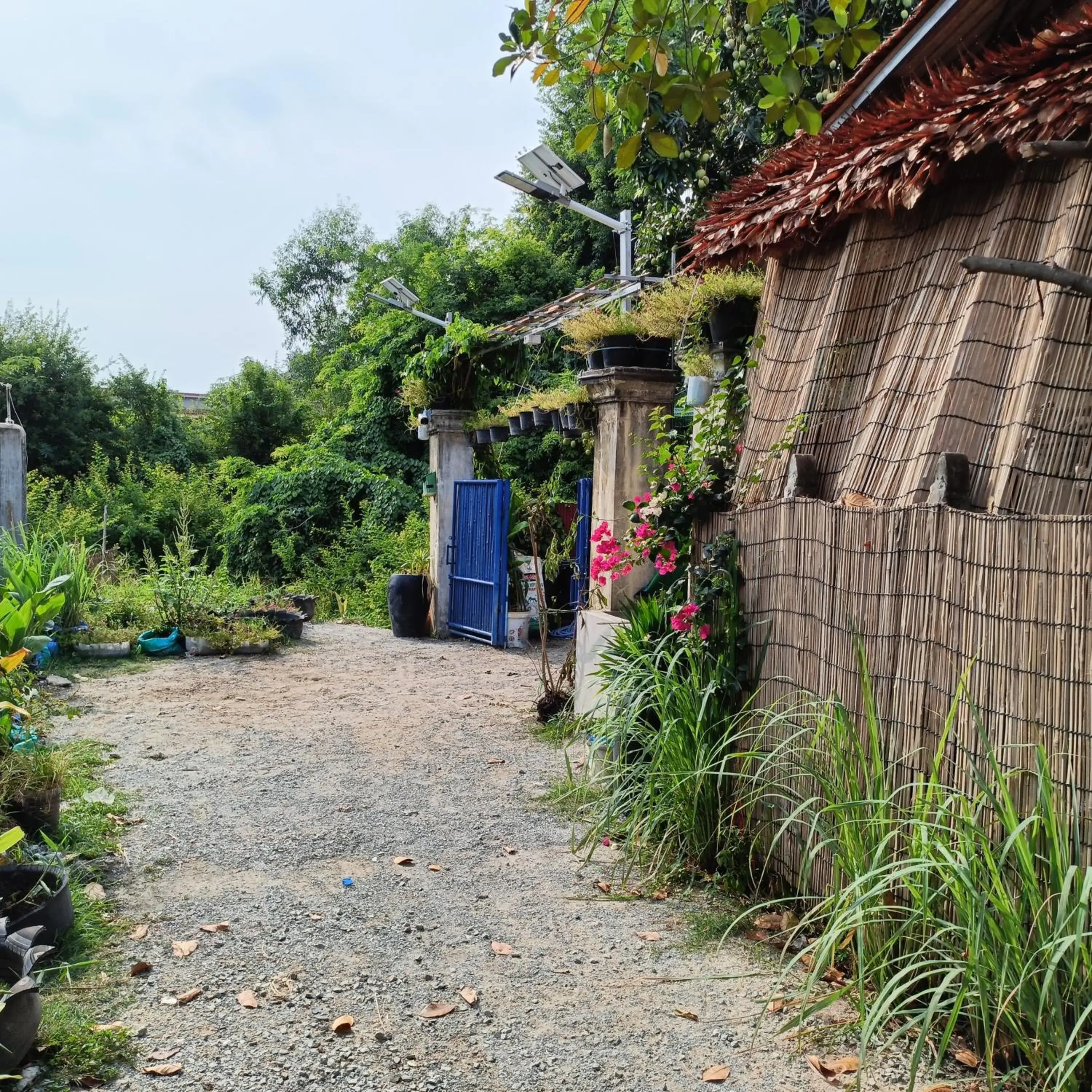 Property building in Siem Reap Homesteading Property building in Siem Reap Homesteading