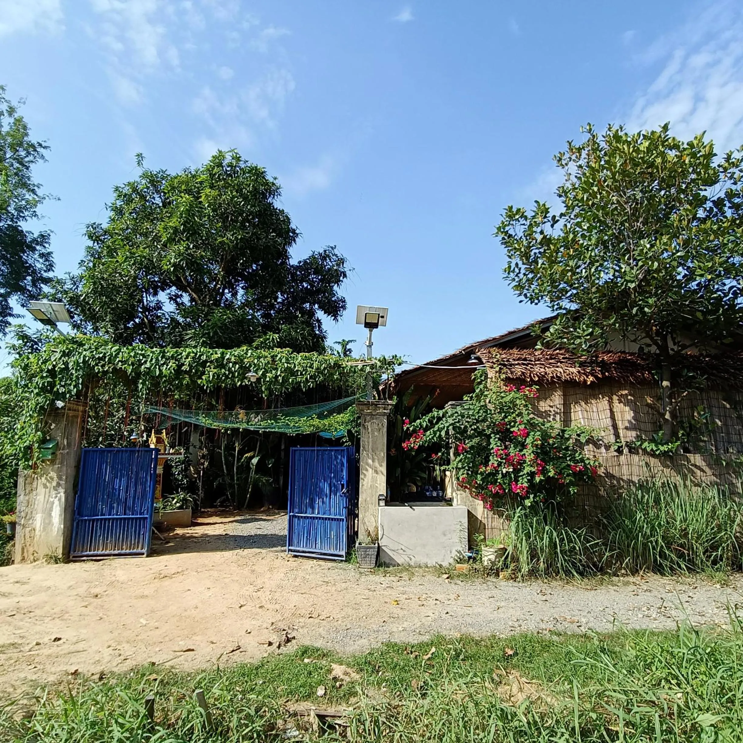 Garden in Siem Reap Homesteading