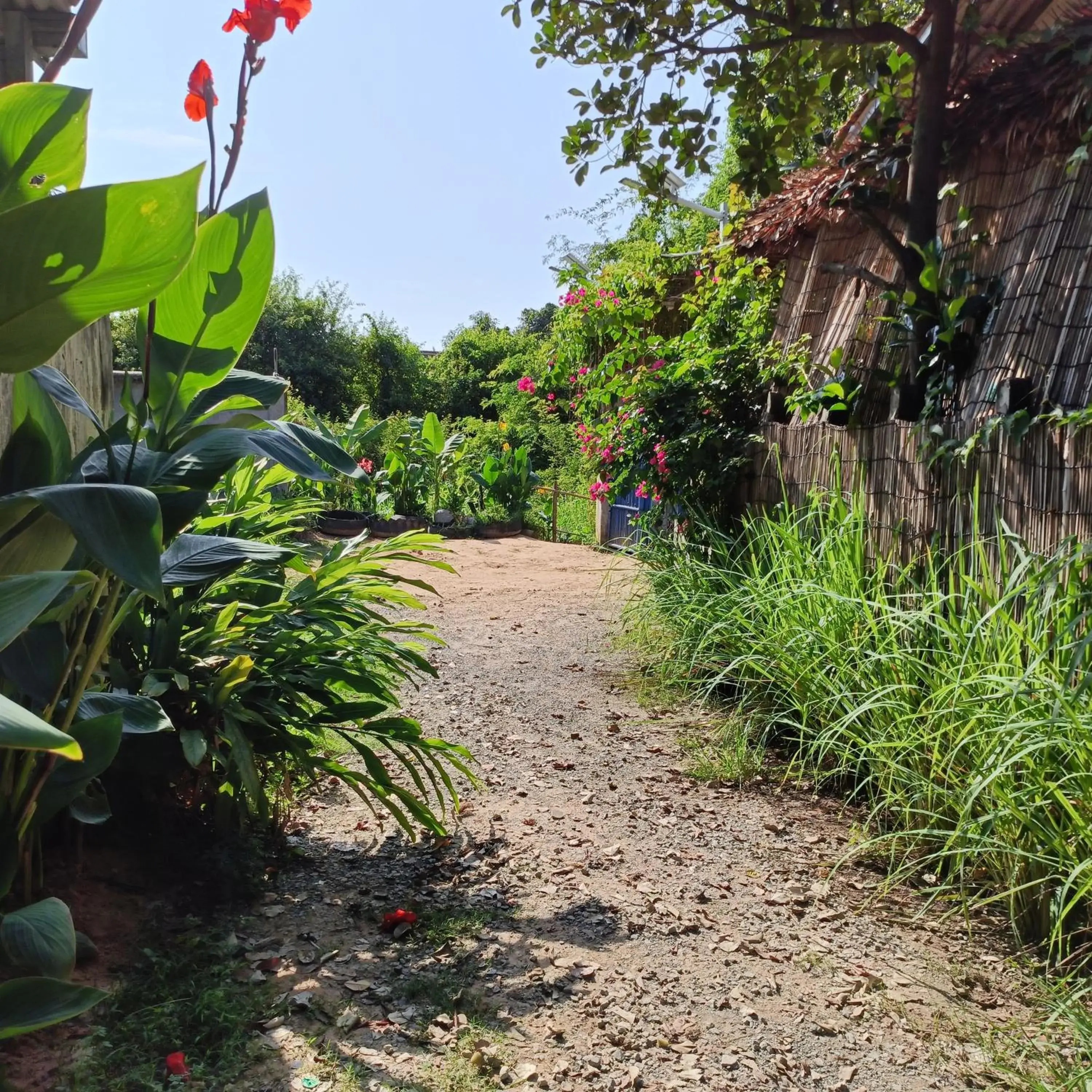 Property building in Siem Reap Homesteading Property building in Siem Reap Homesteading