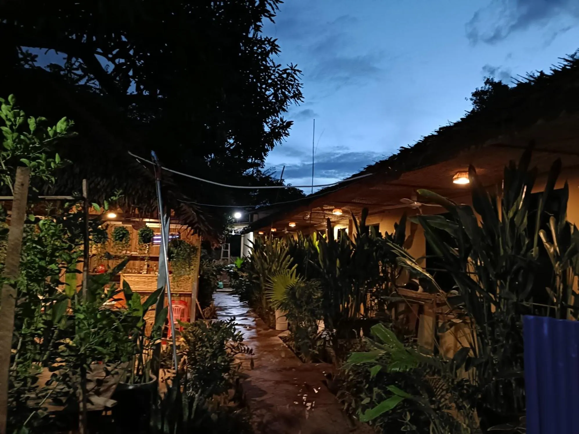 Night in Siem Reap Homesteading