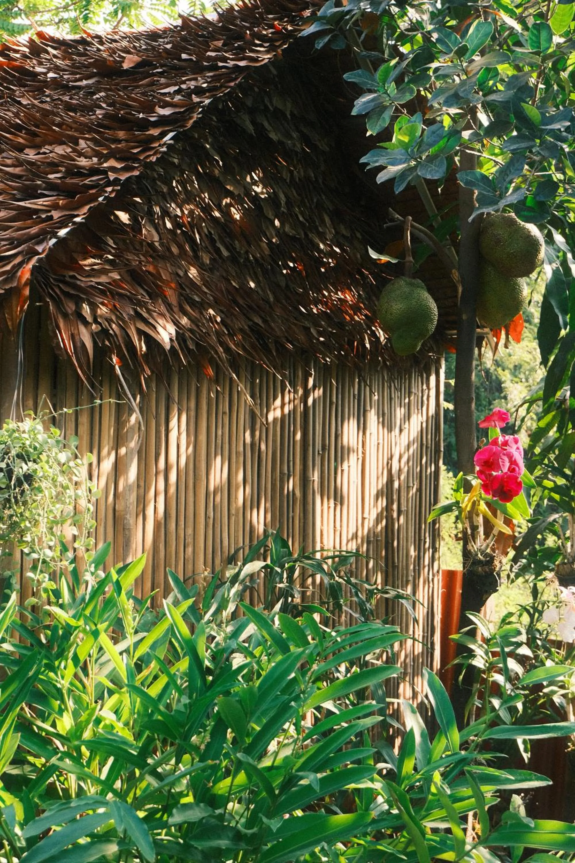 Natural landscape in Siem Reap Homesteading