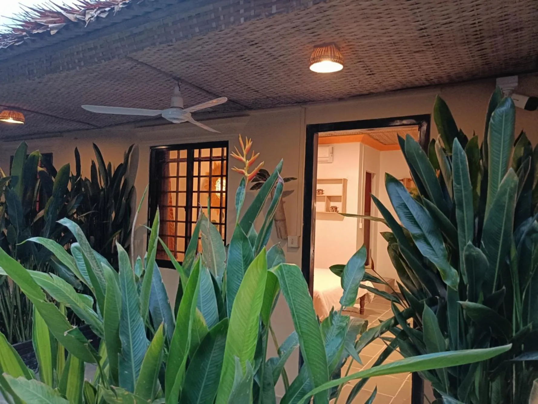 Garden in Siem Reap Homesteading