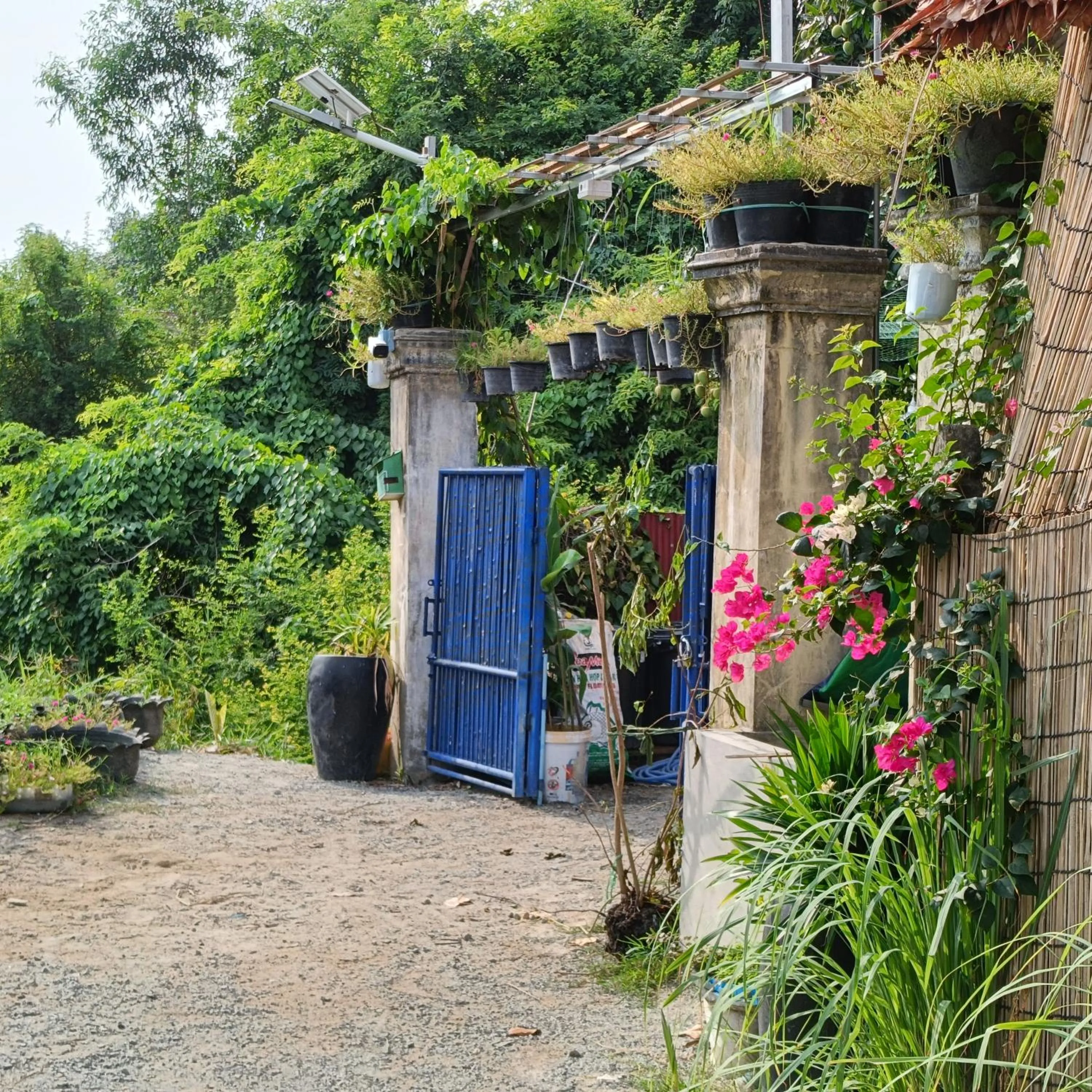 Facade/entrance in Siem Reap Homesteading