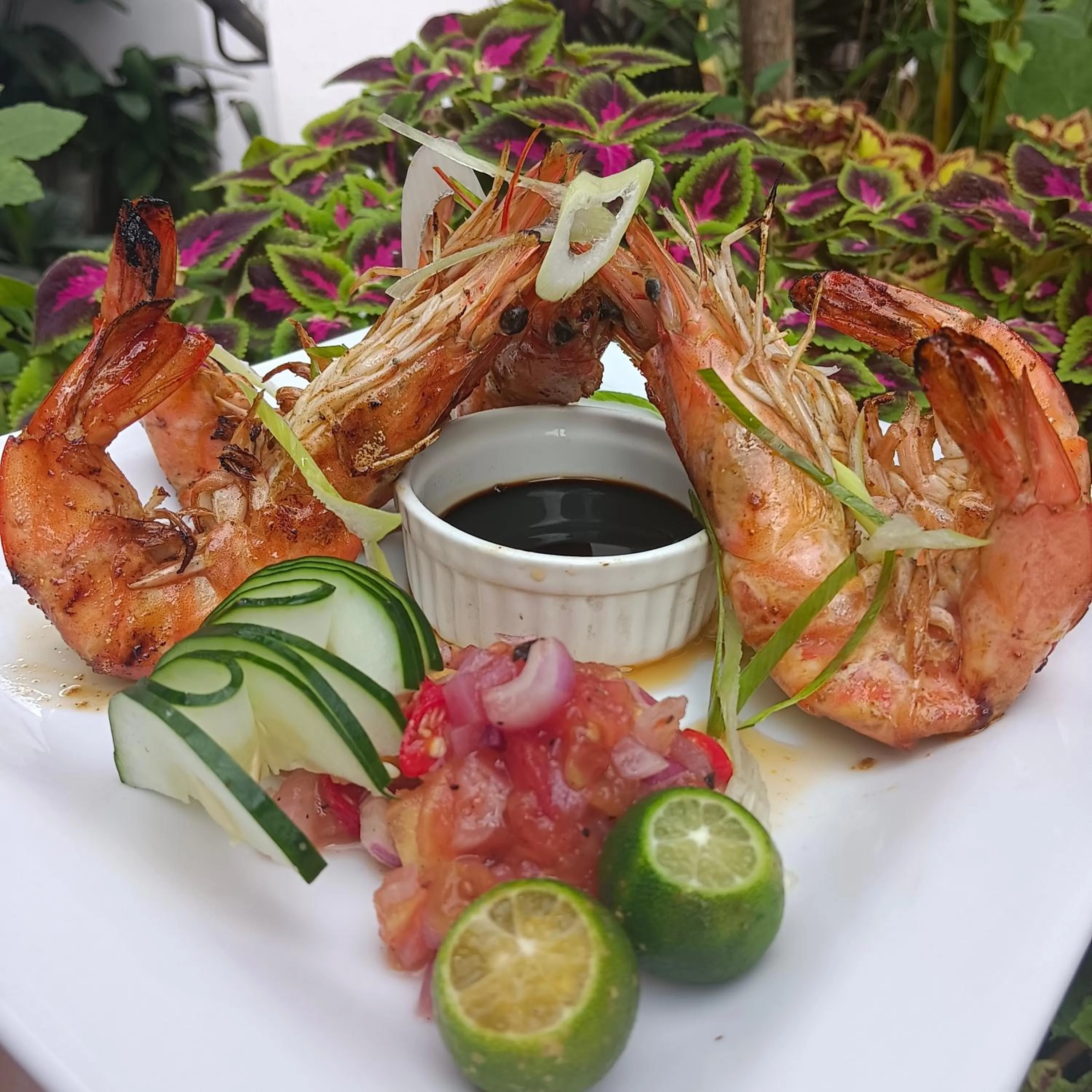 Food and drinks in Villas by Eco Hotels