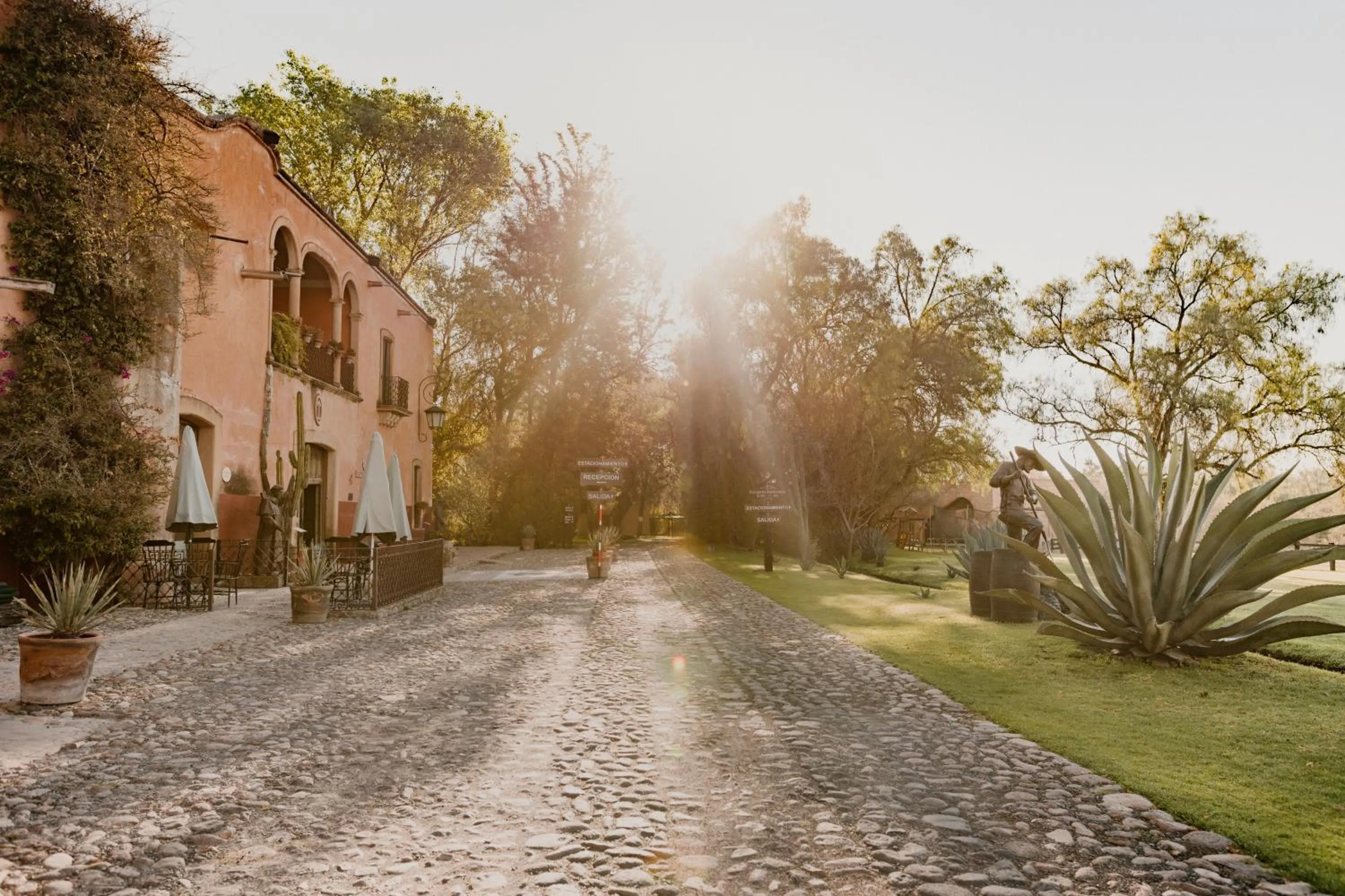 Natural landscape in Hacienda Sepulveda Hotel & Spa