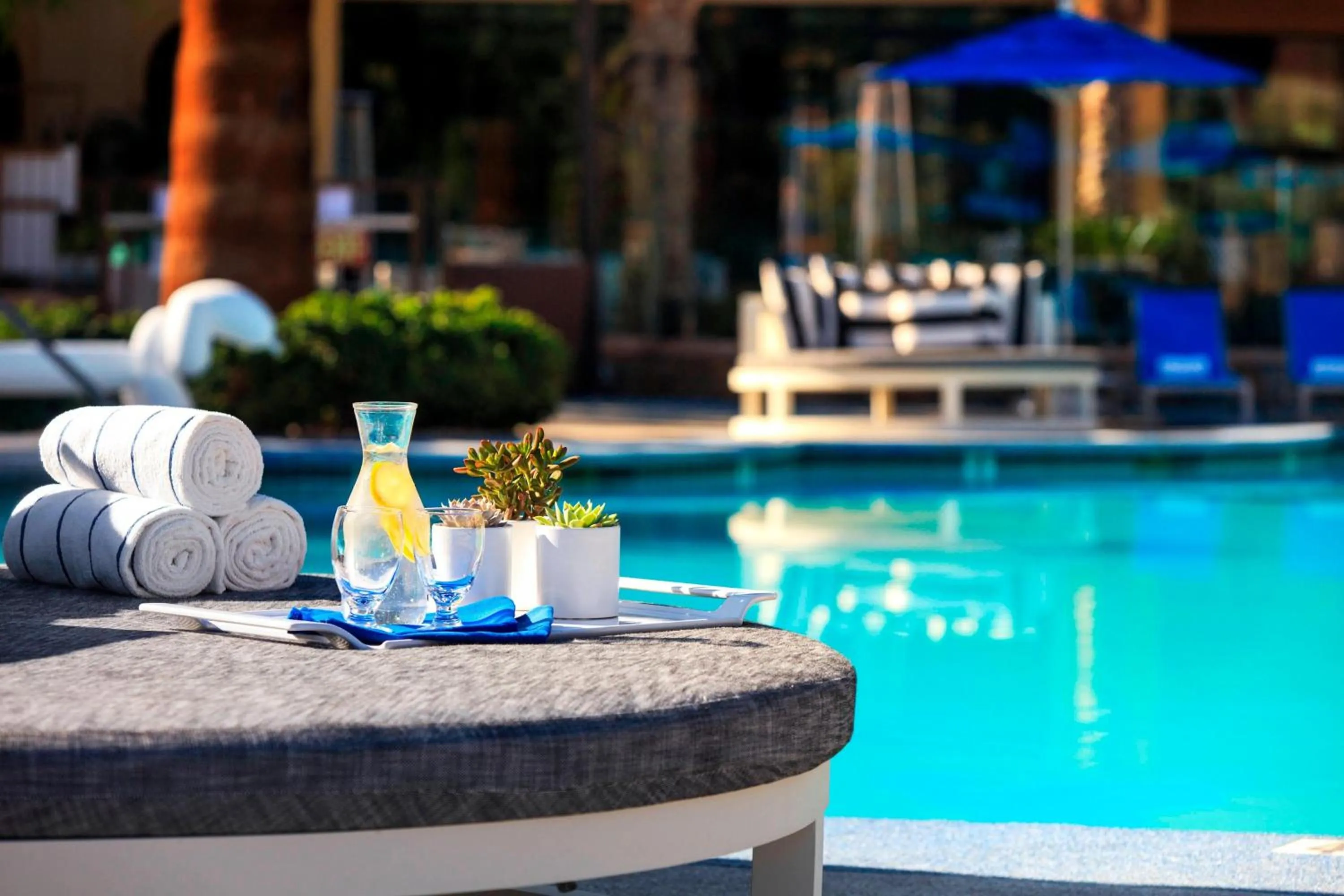 Swimming pool in Renaissance Palm Springs Hotel