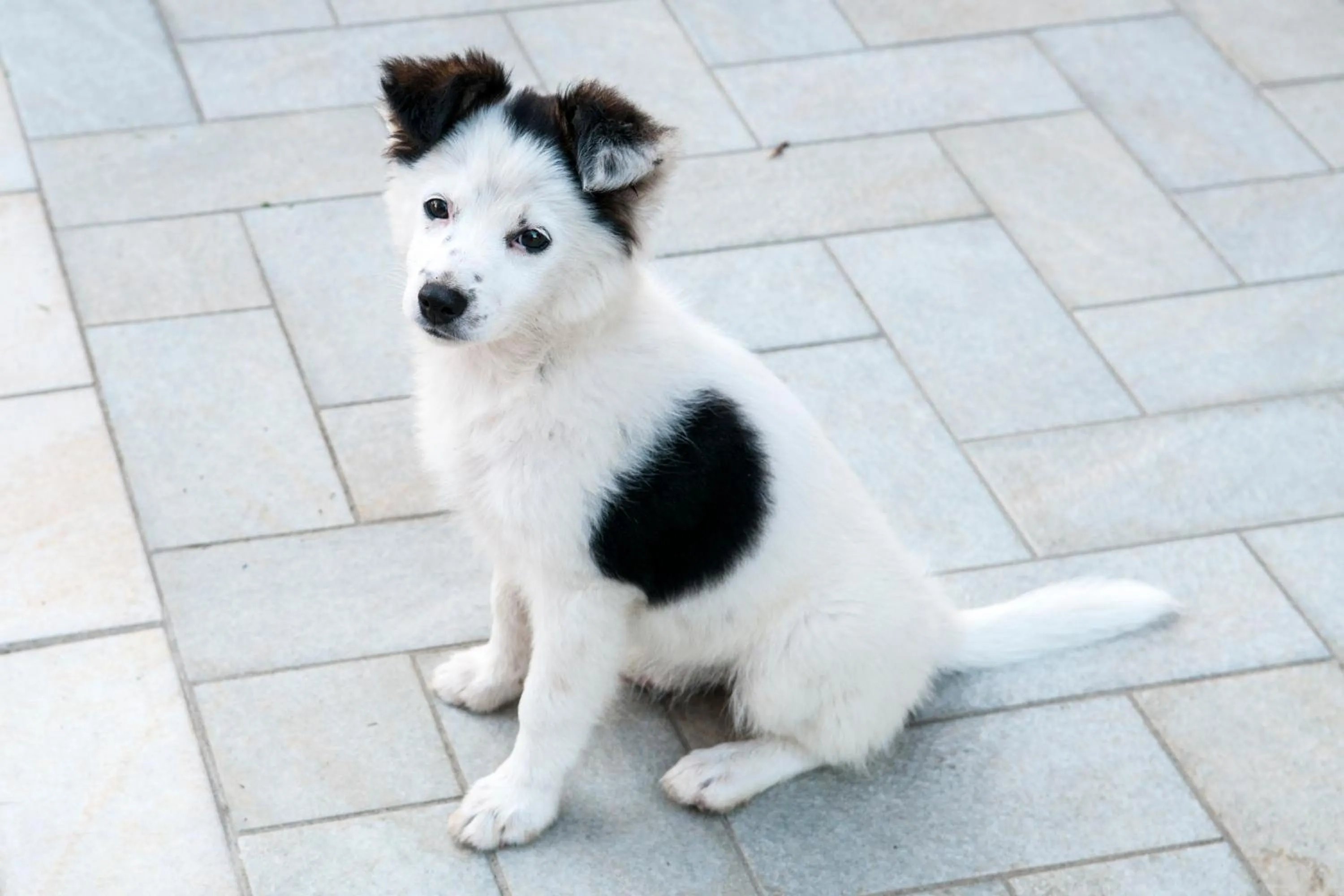 Other in B&B Casazze Dream