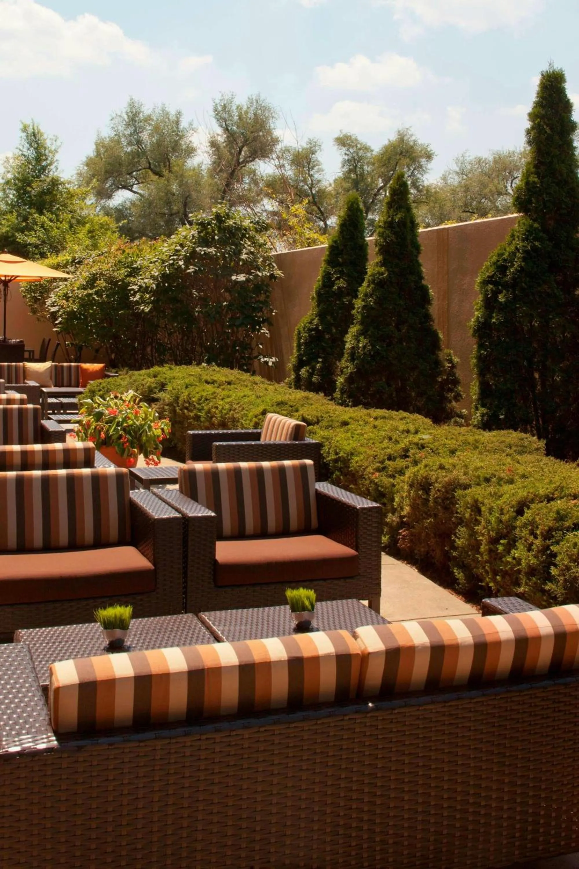 View (from property/room) in Courtyard Louisville Airport