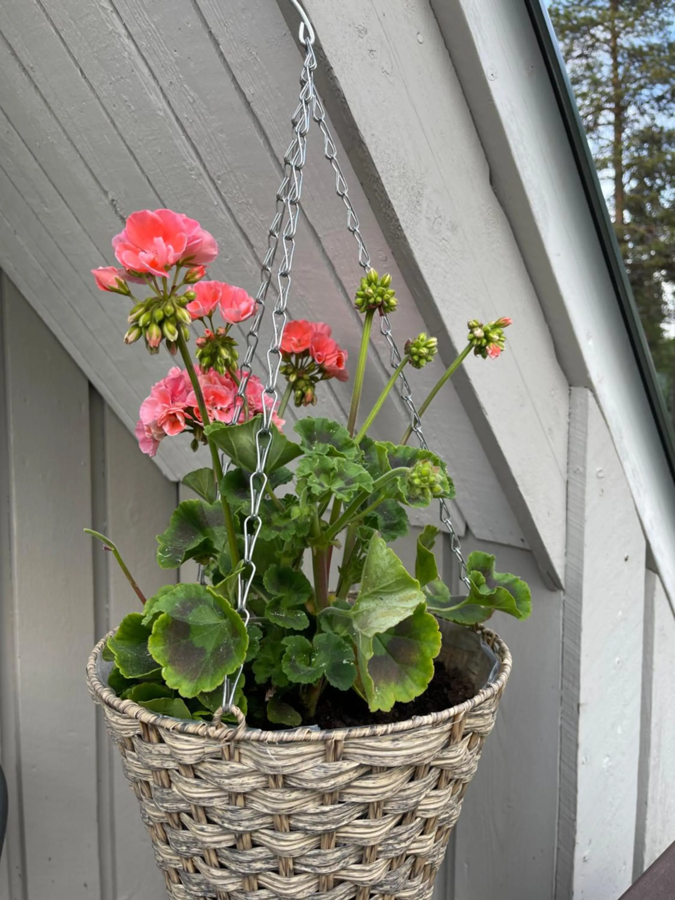 Day in Arctic Lodge Hetan Kota