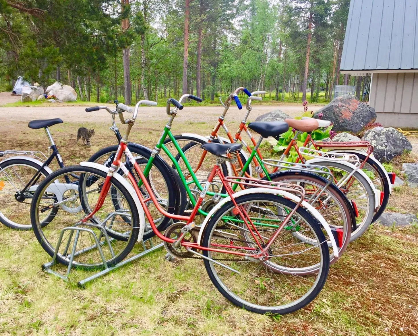 Cycling in Arctic Lodge Hetan Kota