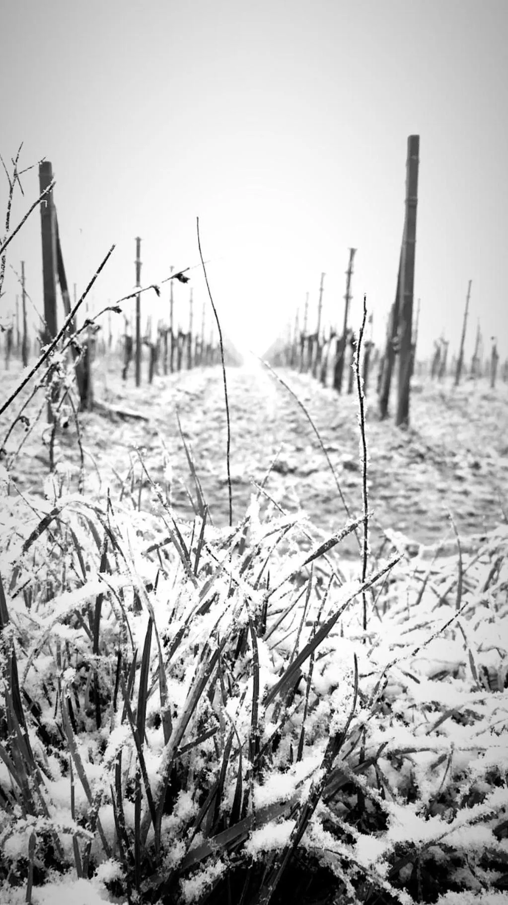 Winter in La Casa sui Tetti