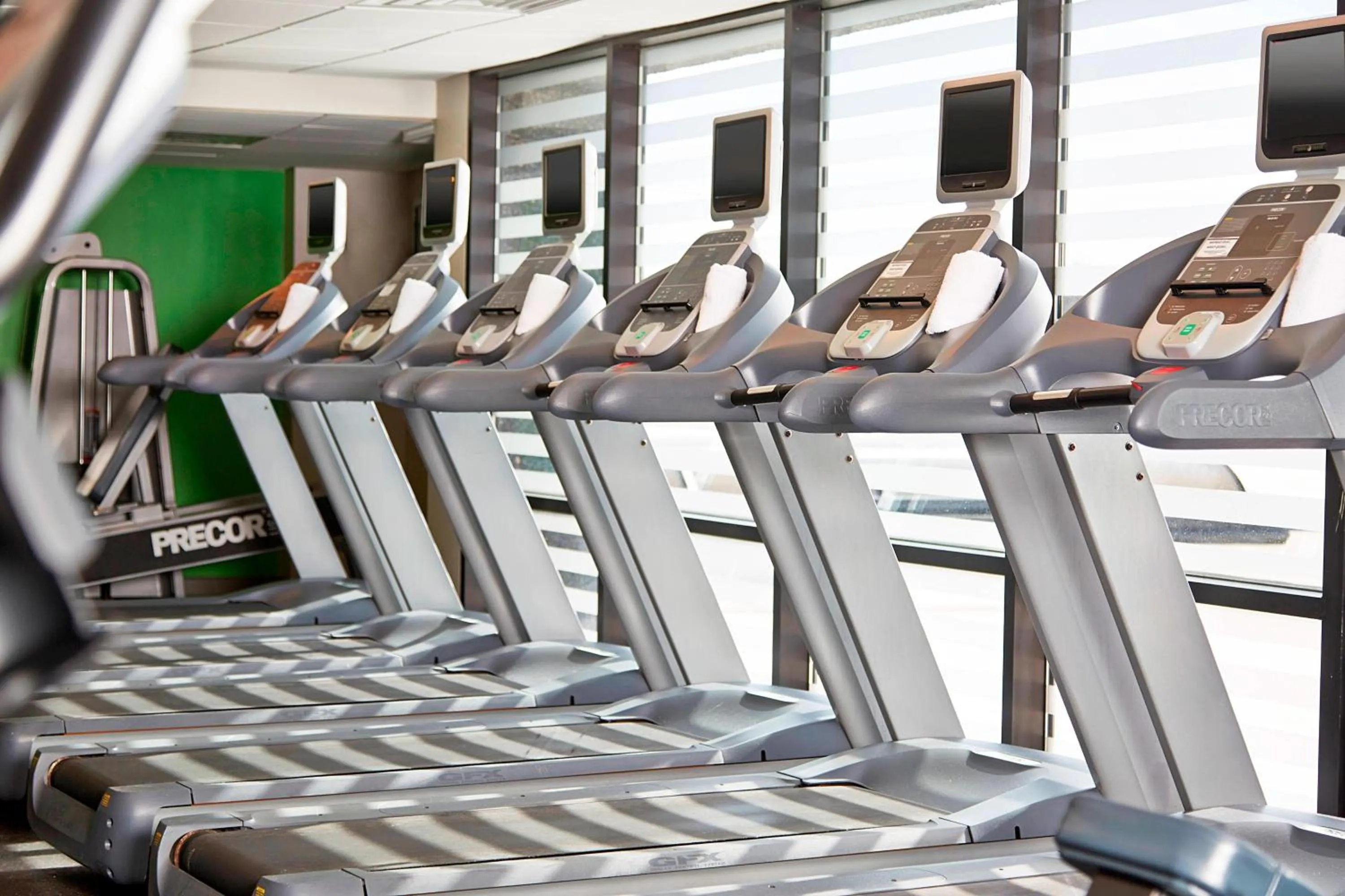 Fitness centre/facilities in Renaissance St. Louis Airport Hotel