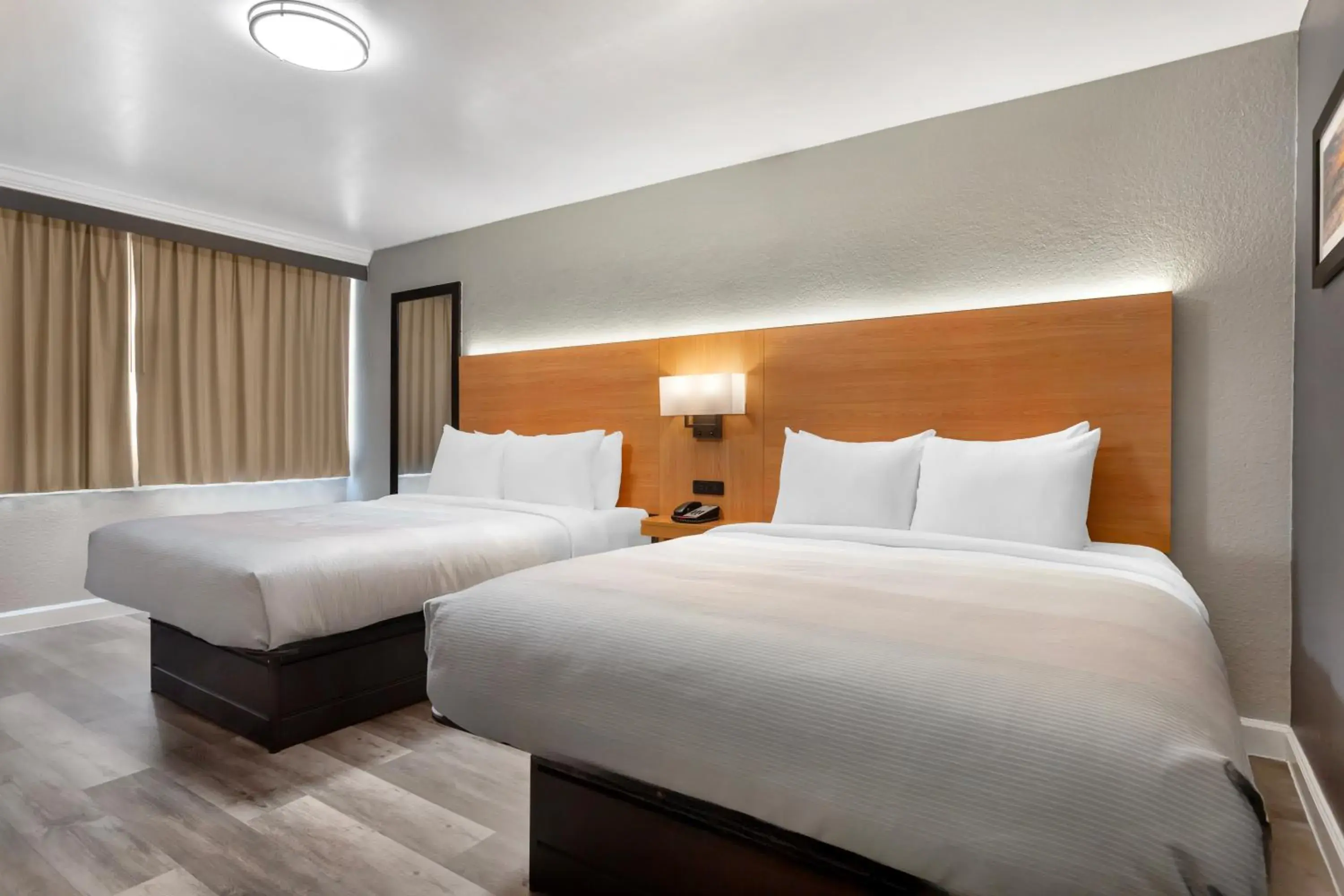 Bed in Quality Inn and Conference Center Tampa-Brandon Bed in Quality Inn and Conference Center Tampa-Brandon