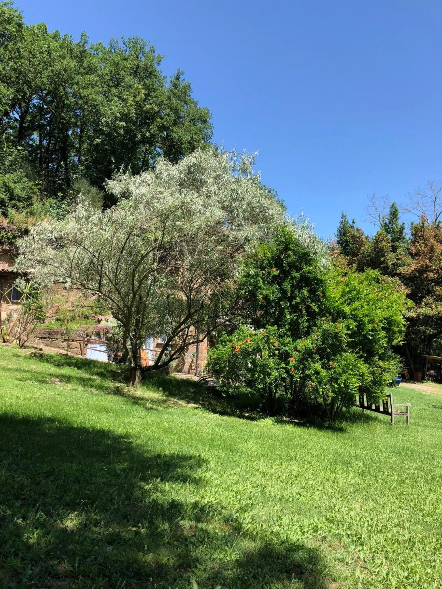 Property building in L'antico Molino