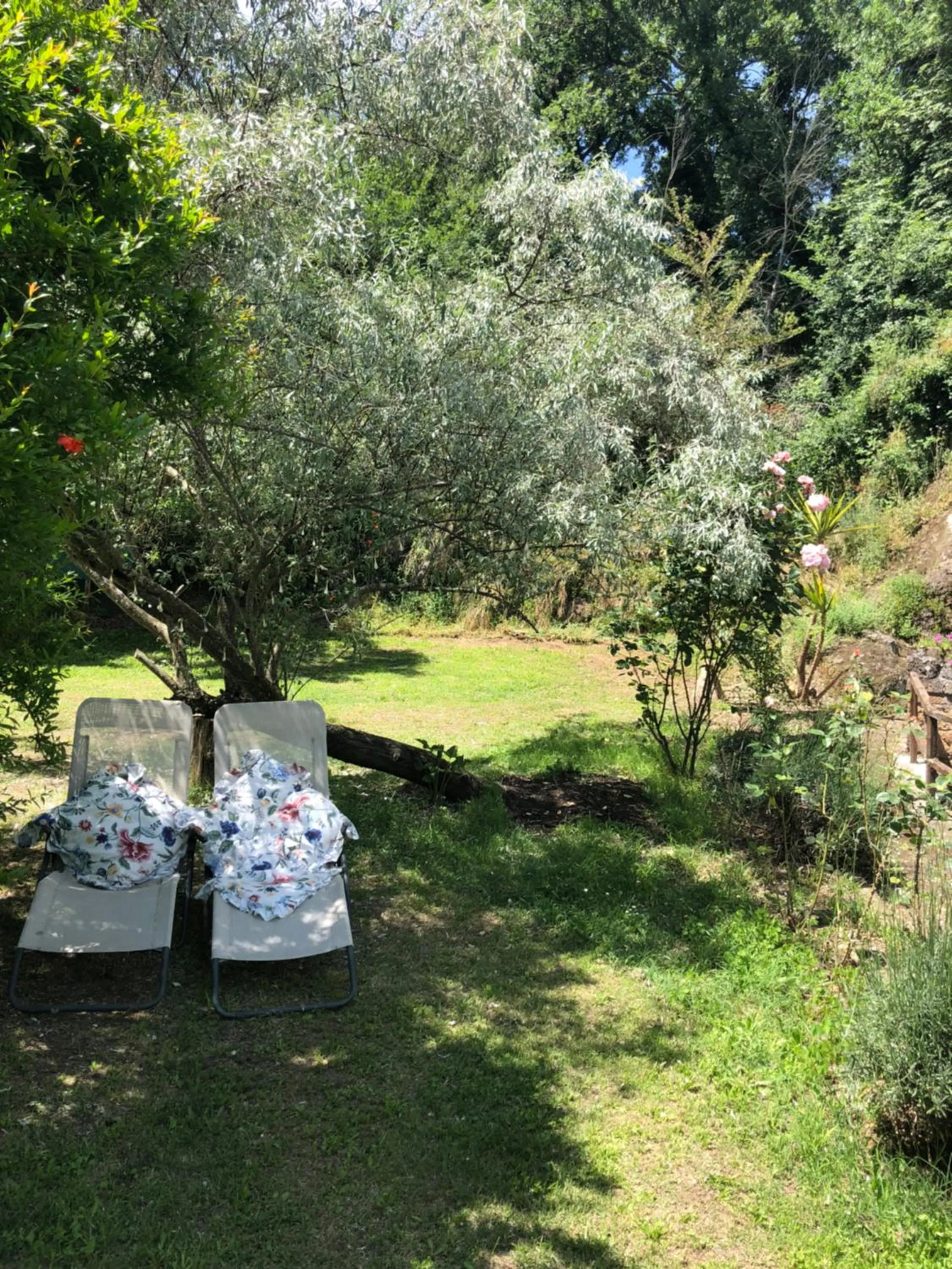 Garden in L'antico Molino