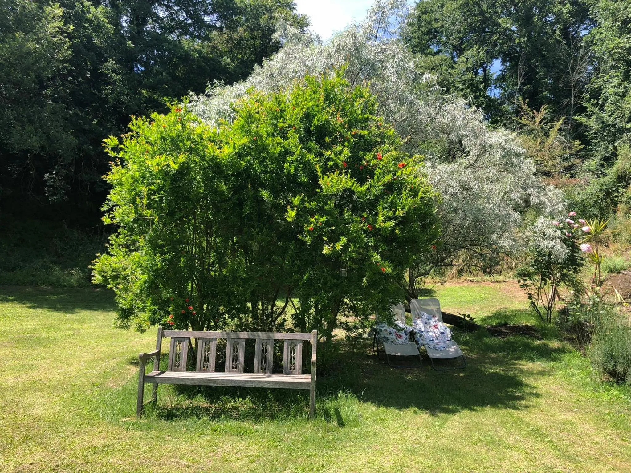 Garden in L'antico Molino