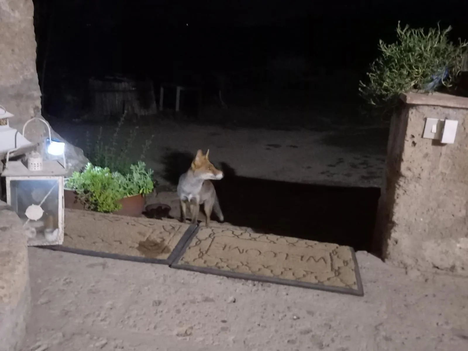 Pets in L'antico Molino