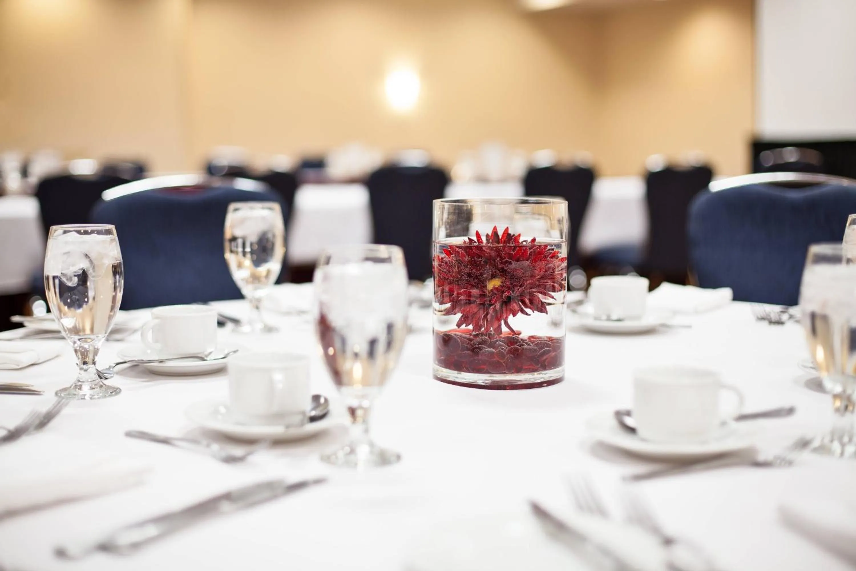 Meeting/conference room in Ottawa Marriott Hotel