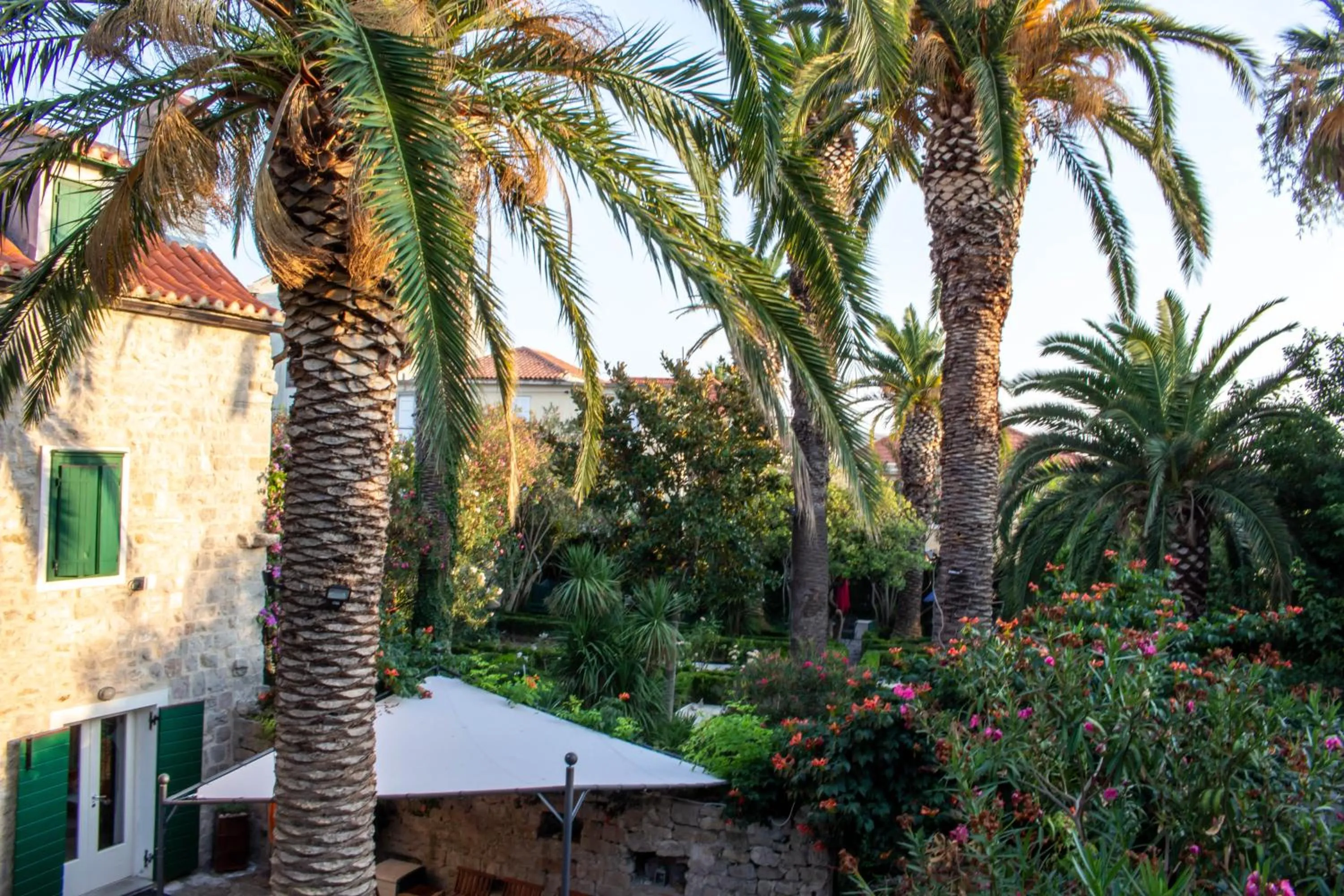 Garden in Villa Cindro House