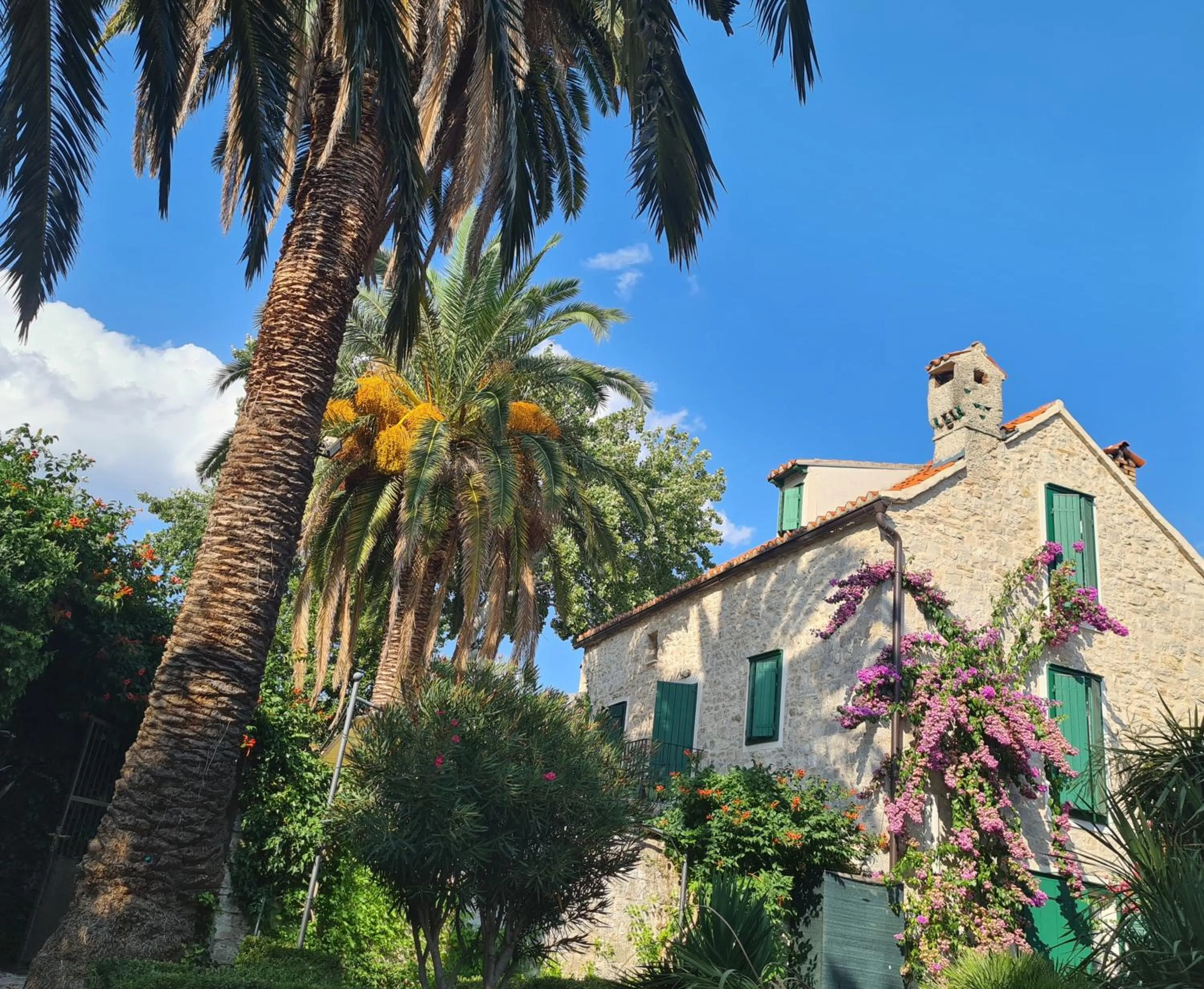 Property building in Villa Cindro House
