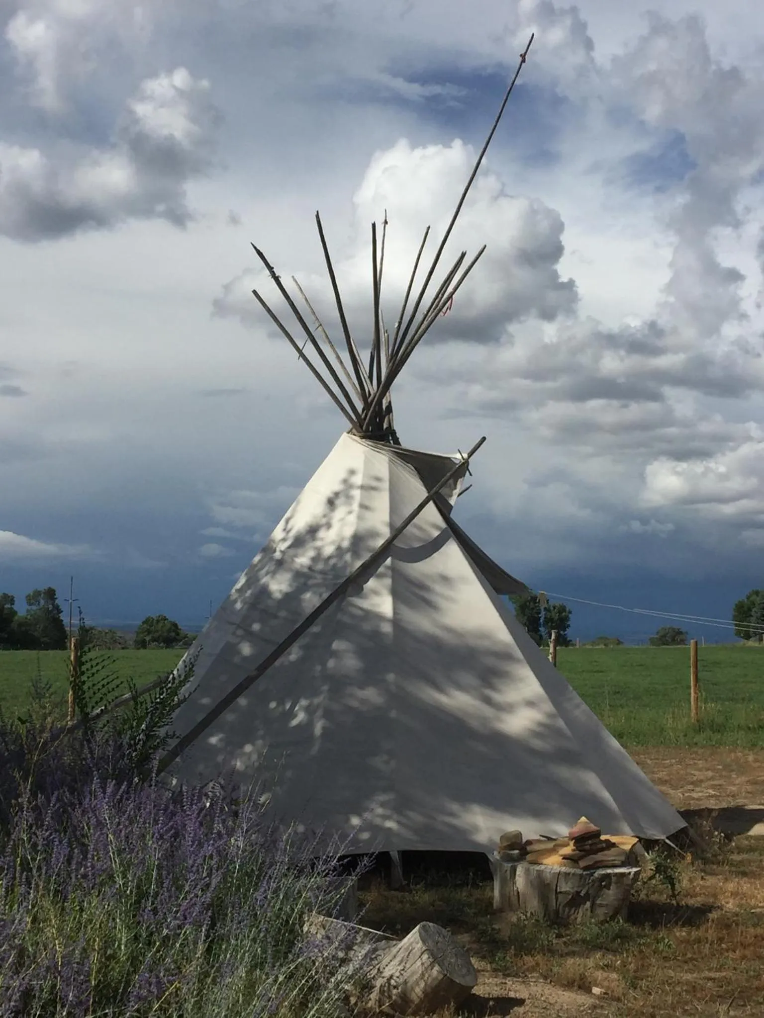 Natural landscape in Grizzly Roadhouse Bed and Breakfast