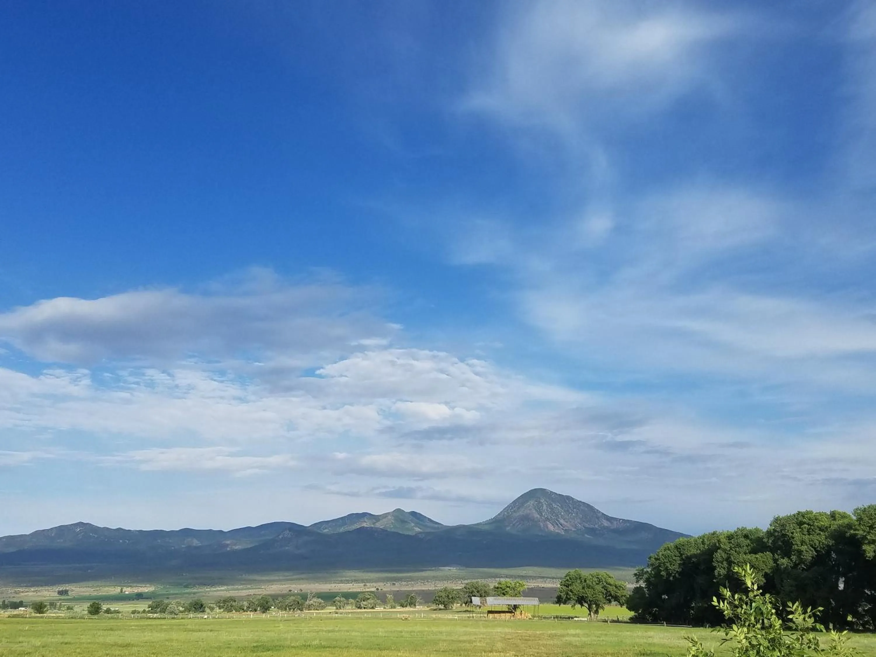 Mountain view in Grizzly Roadhouse Bed and Breakfast