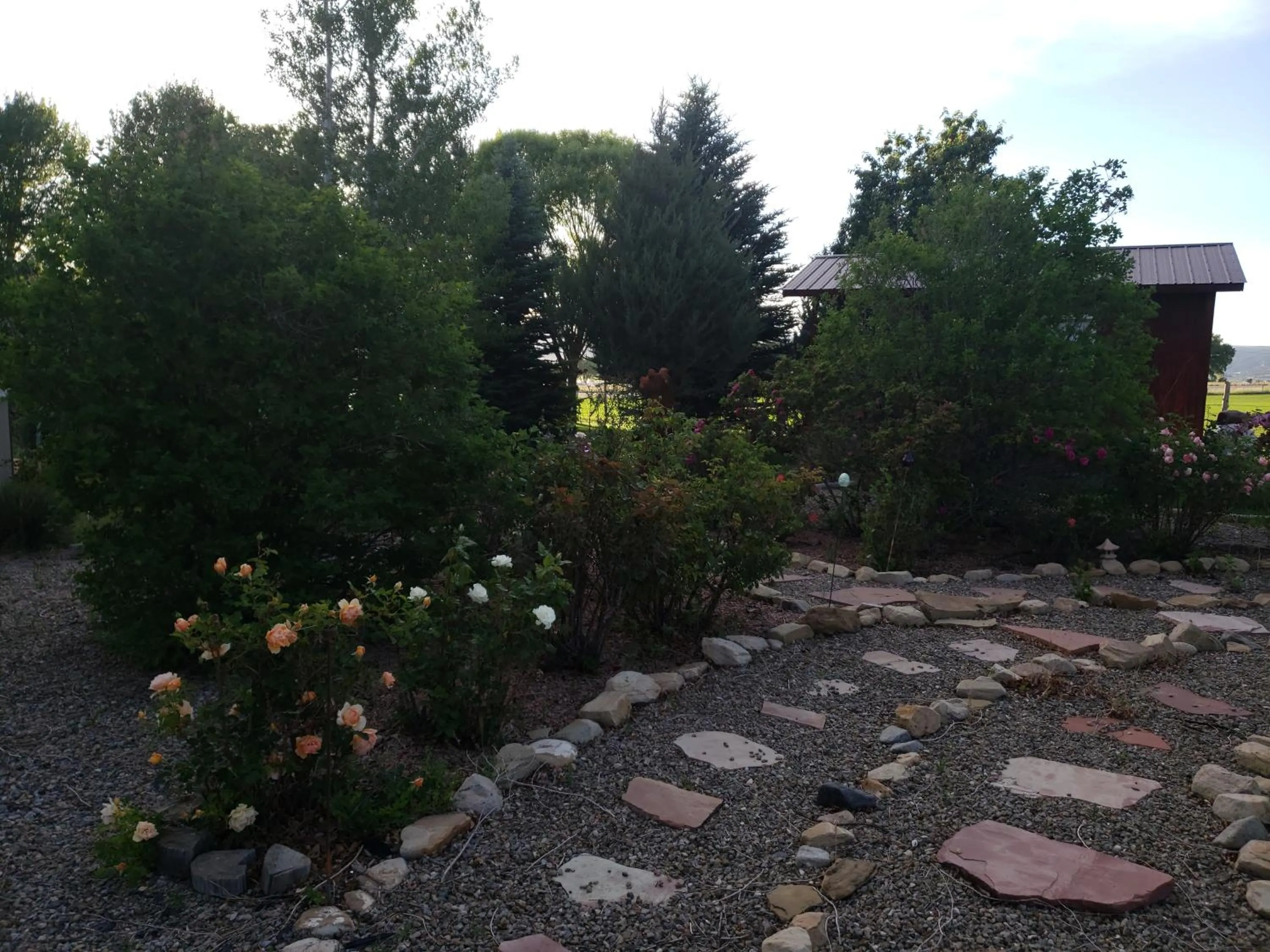 Garden in Grizzly Roadhouse Bed and Breakfast