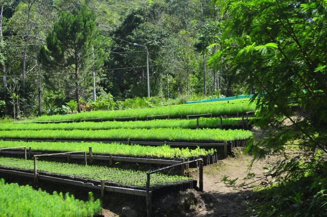 Activities in San Alberto Ecolodge