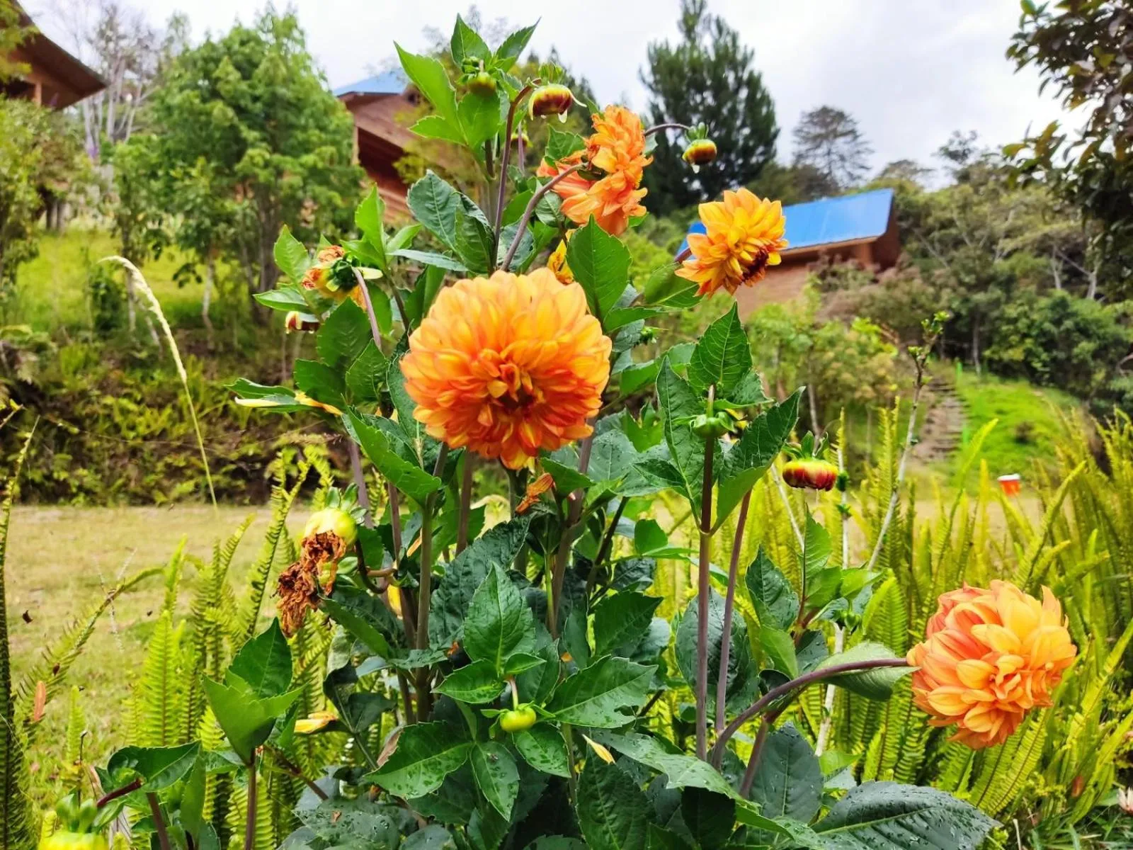 San Alberto Ecolodge