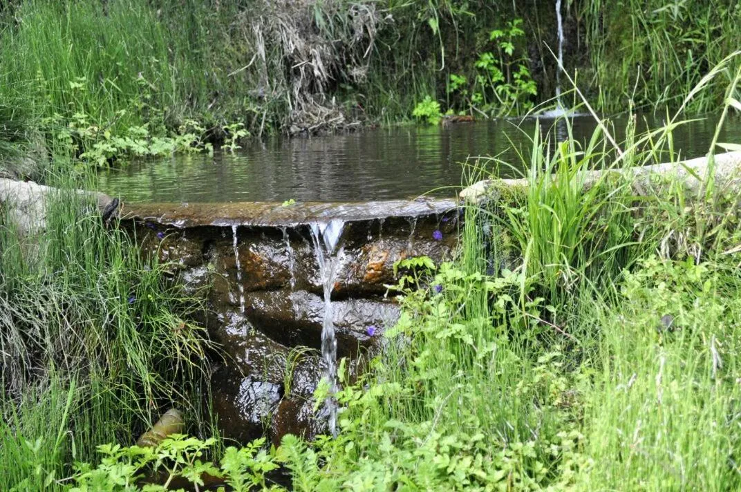 San Alberto Ecolodge