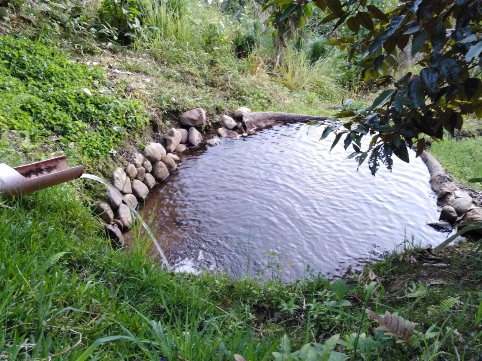 San Alberto Ecolodge