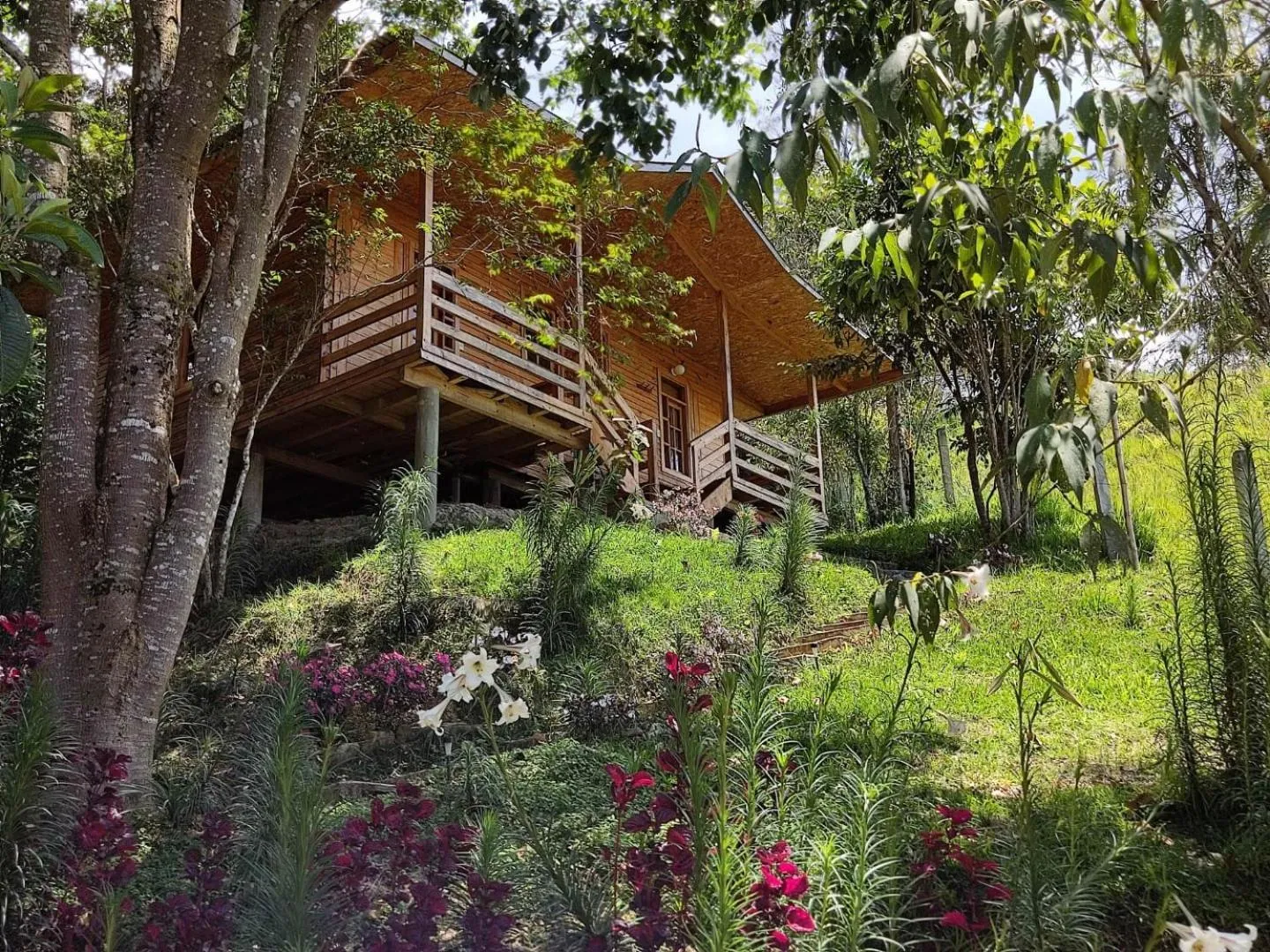San Alberto Ecolodge