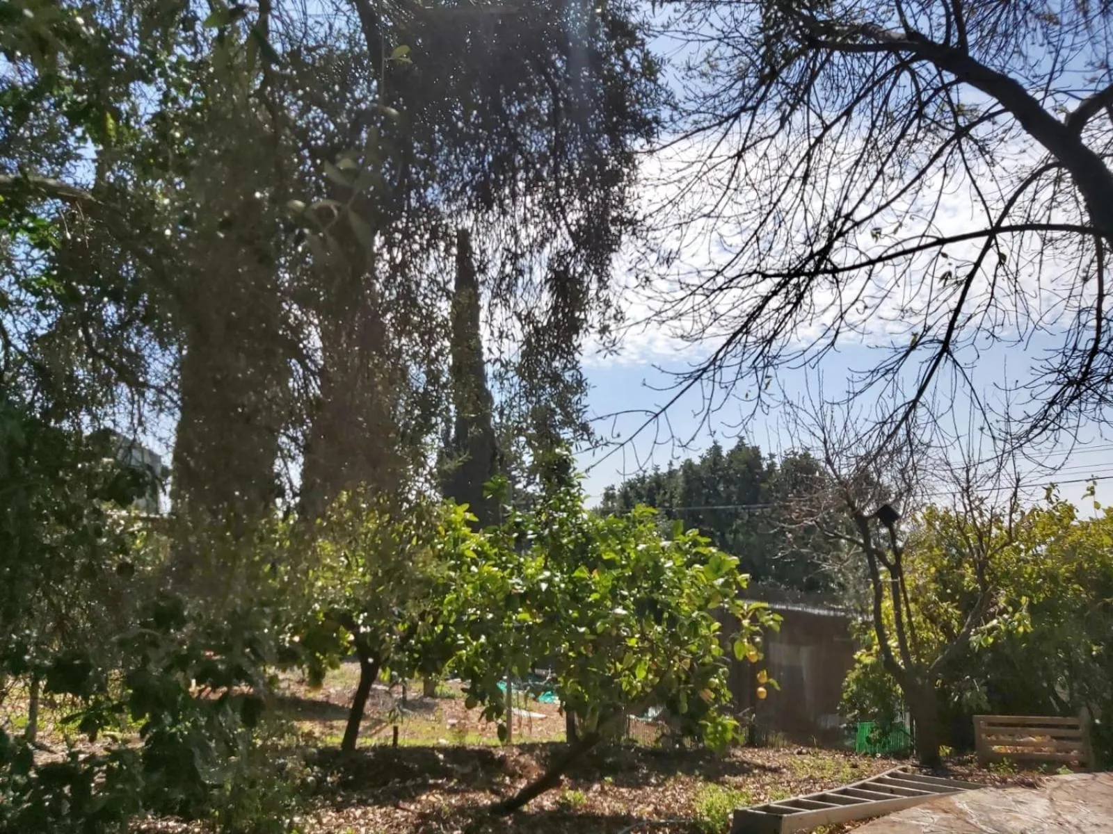 Garden in Eretz Hagalil - Land of Galilee