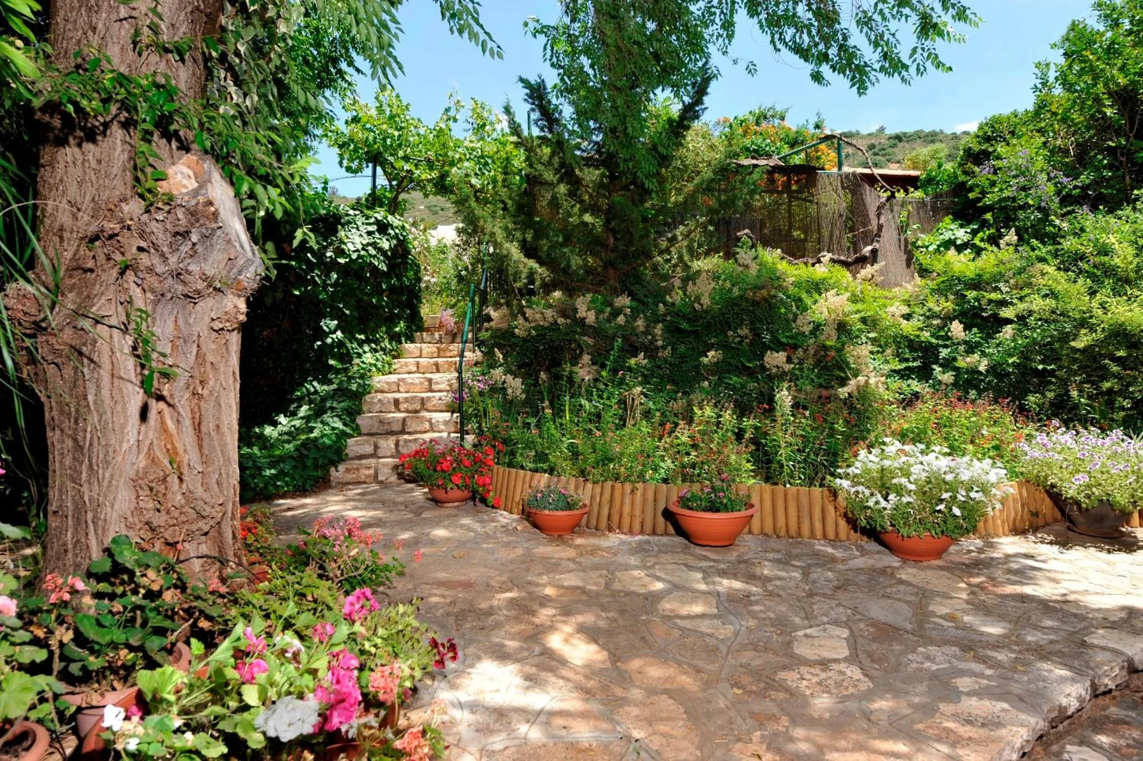 Day in Eretz Hagalil - Land of Galilee