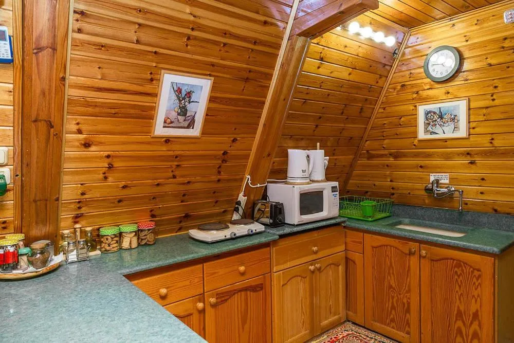 Kitchen or kitchenette in Eretz Hagalil - Land of Galilee
