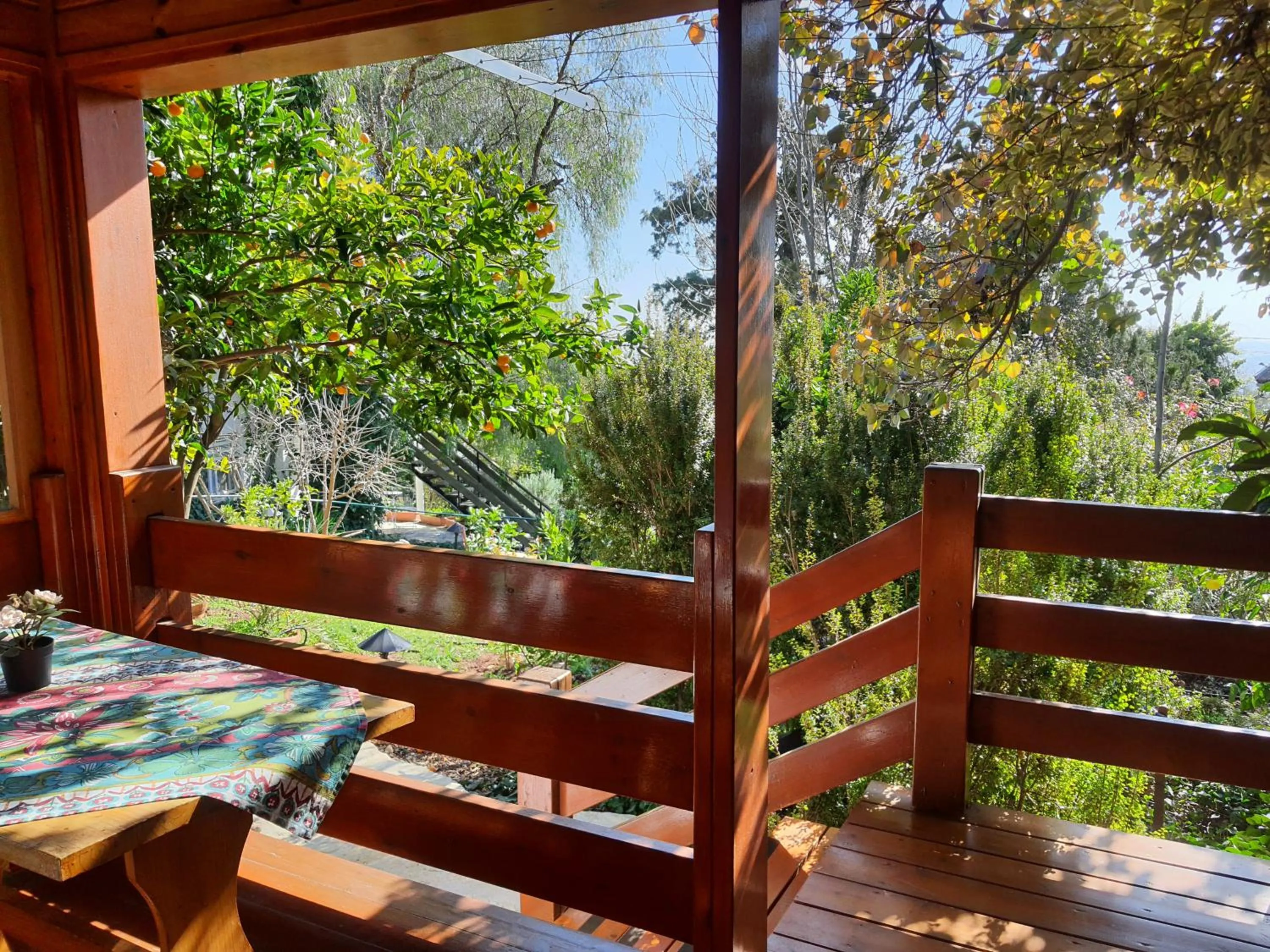 View (from property/room) in Eretz Hagalil - Land of Galilee