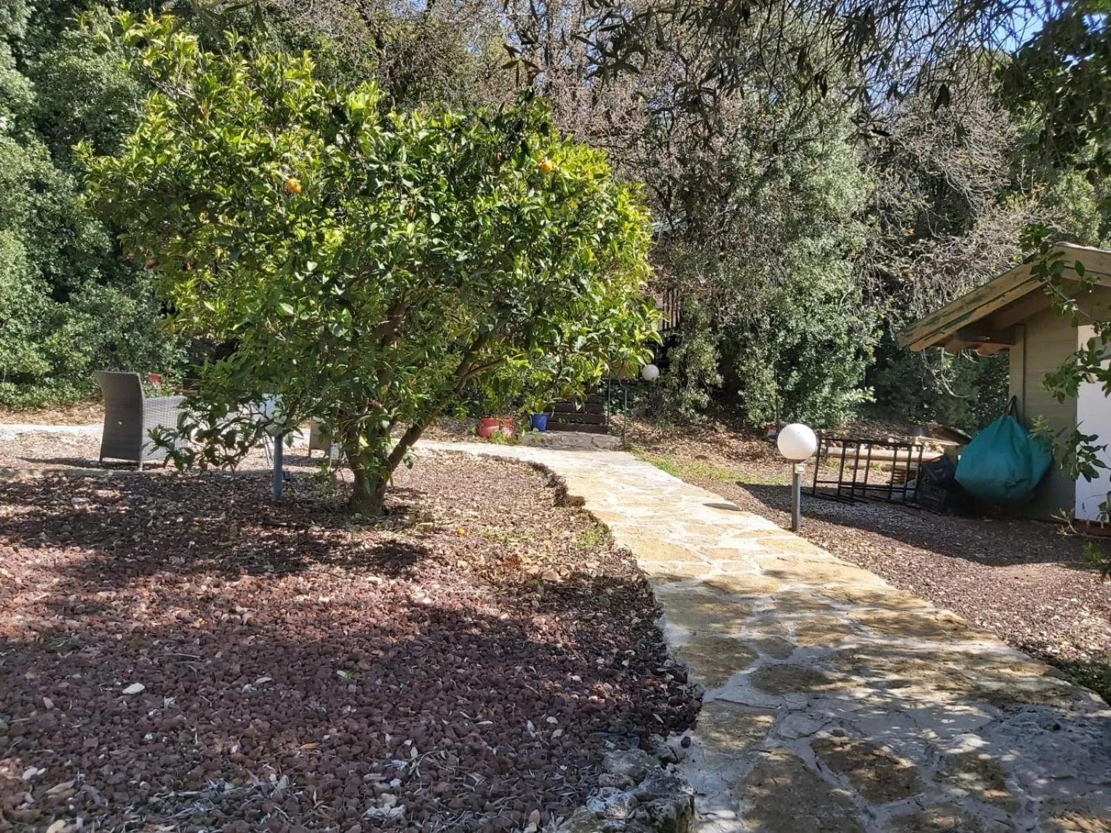 Garden in Eretz Hagalil - Land of Galilee