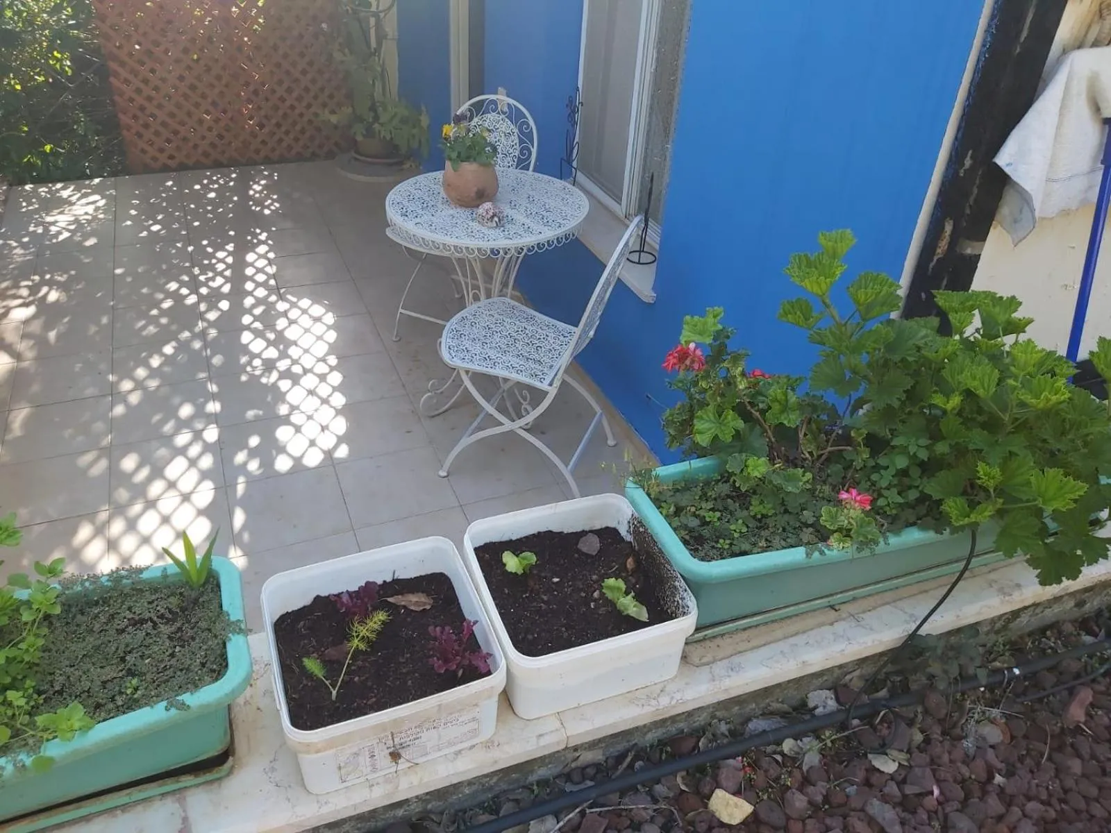 Garden in Eretz Hagalil - Land of Galilee